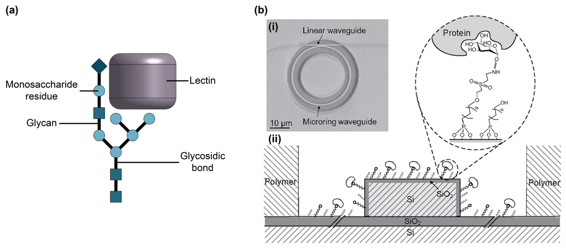 Biosensors 13 00053 g008