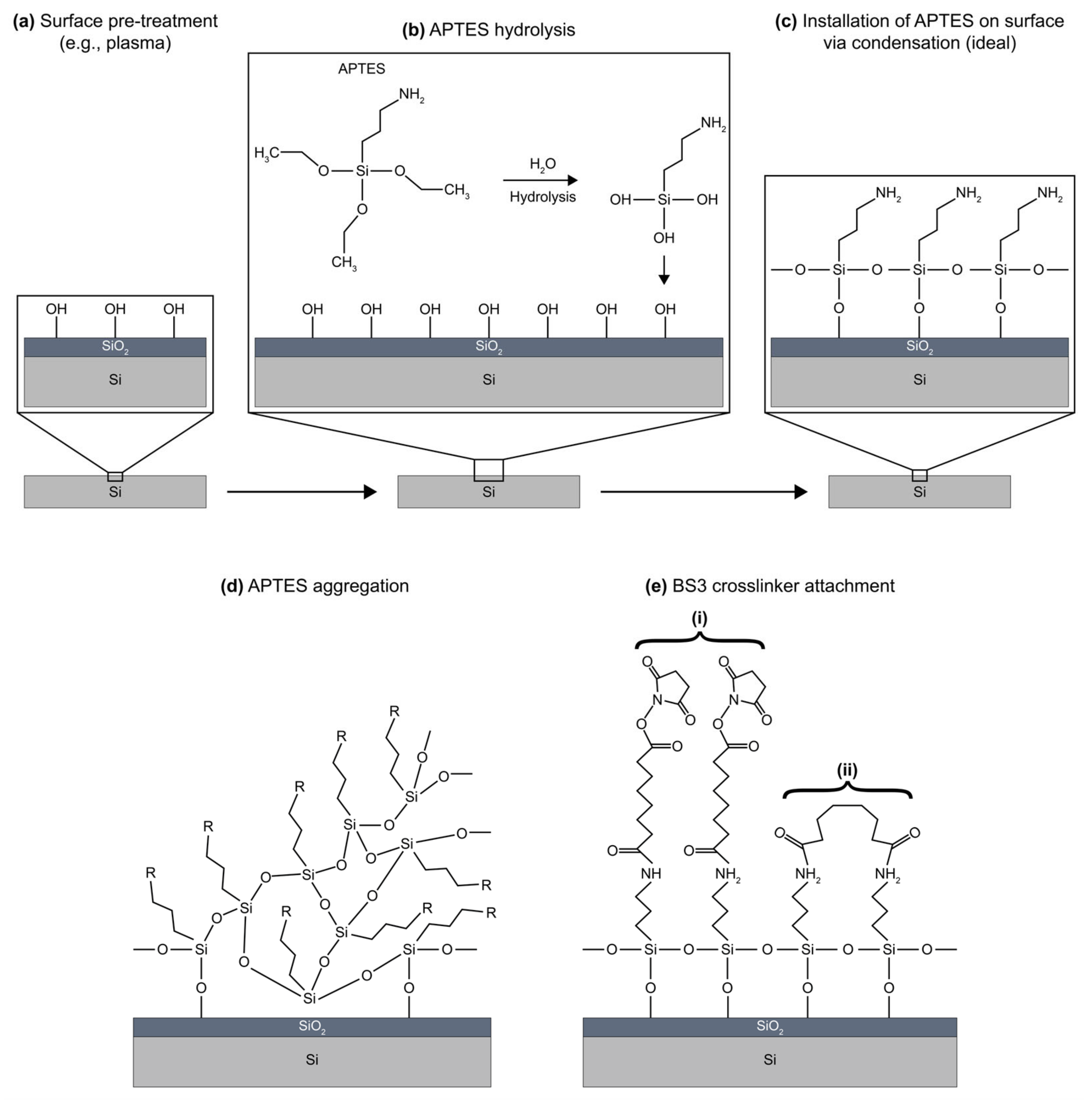 Biosensors 13 00053 g013