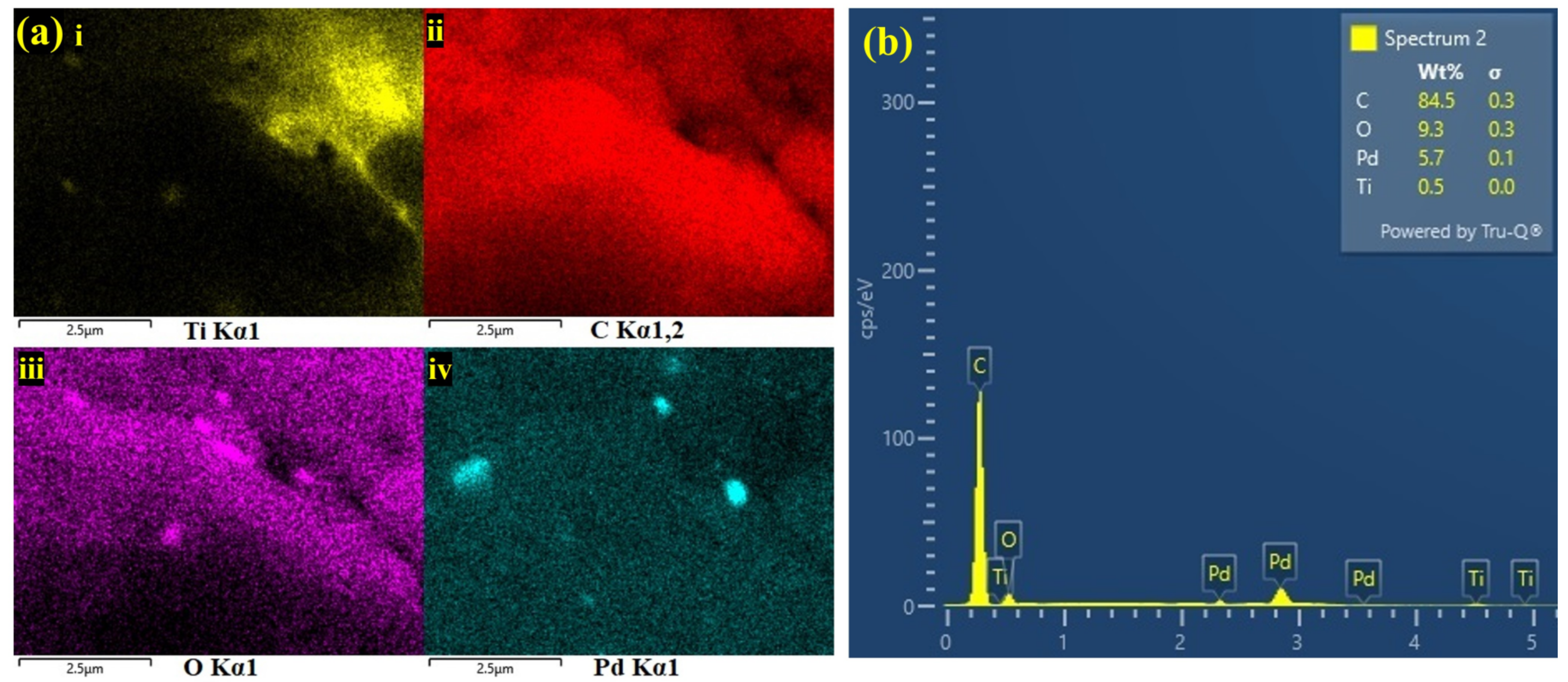 Biosensors 13 00054 g005