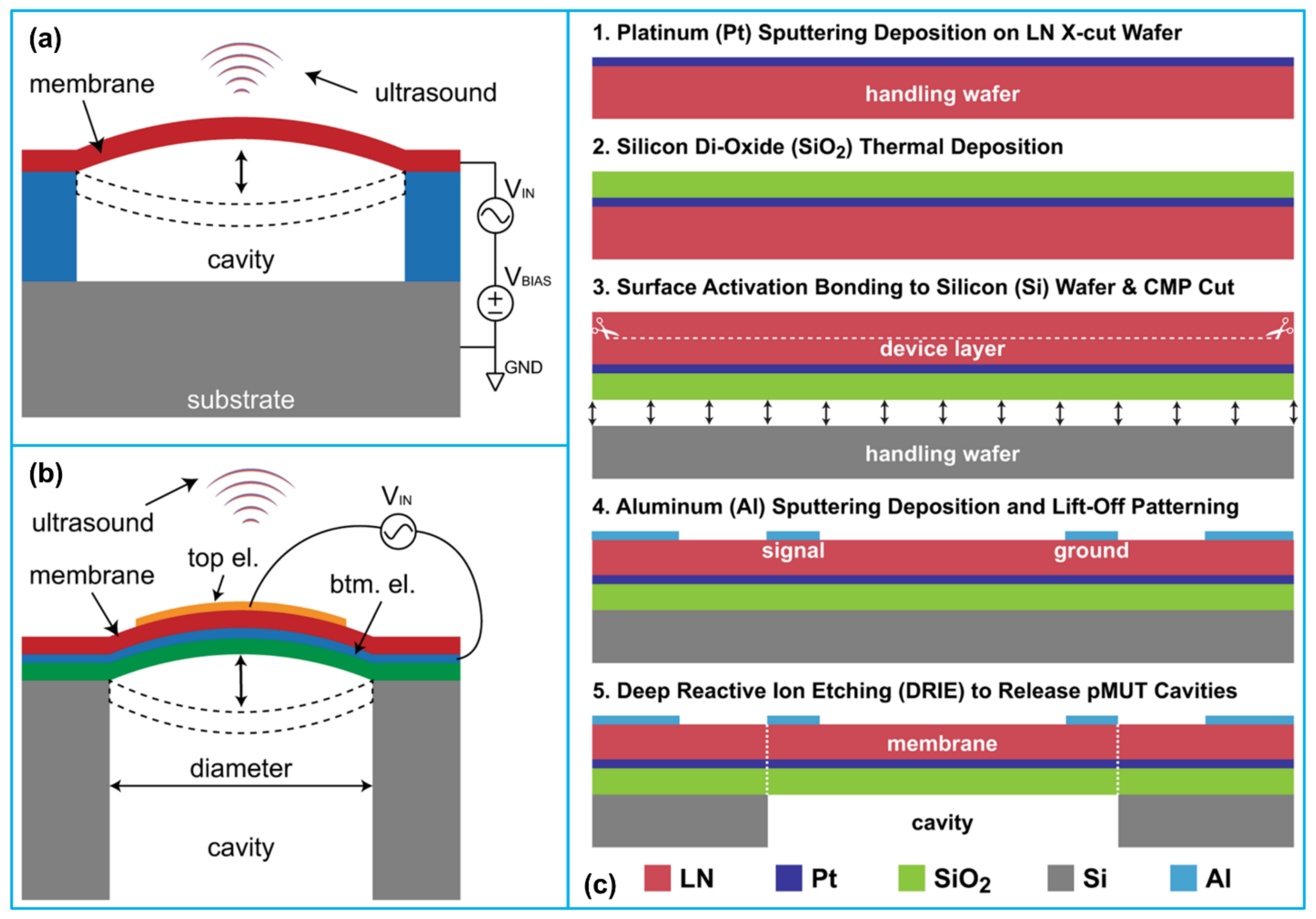 Biosensors 13 00055 g001