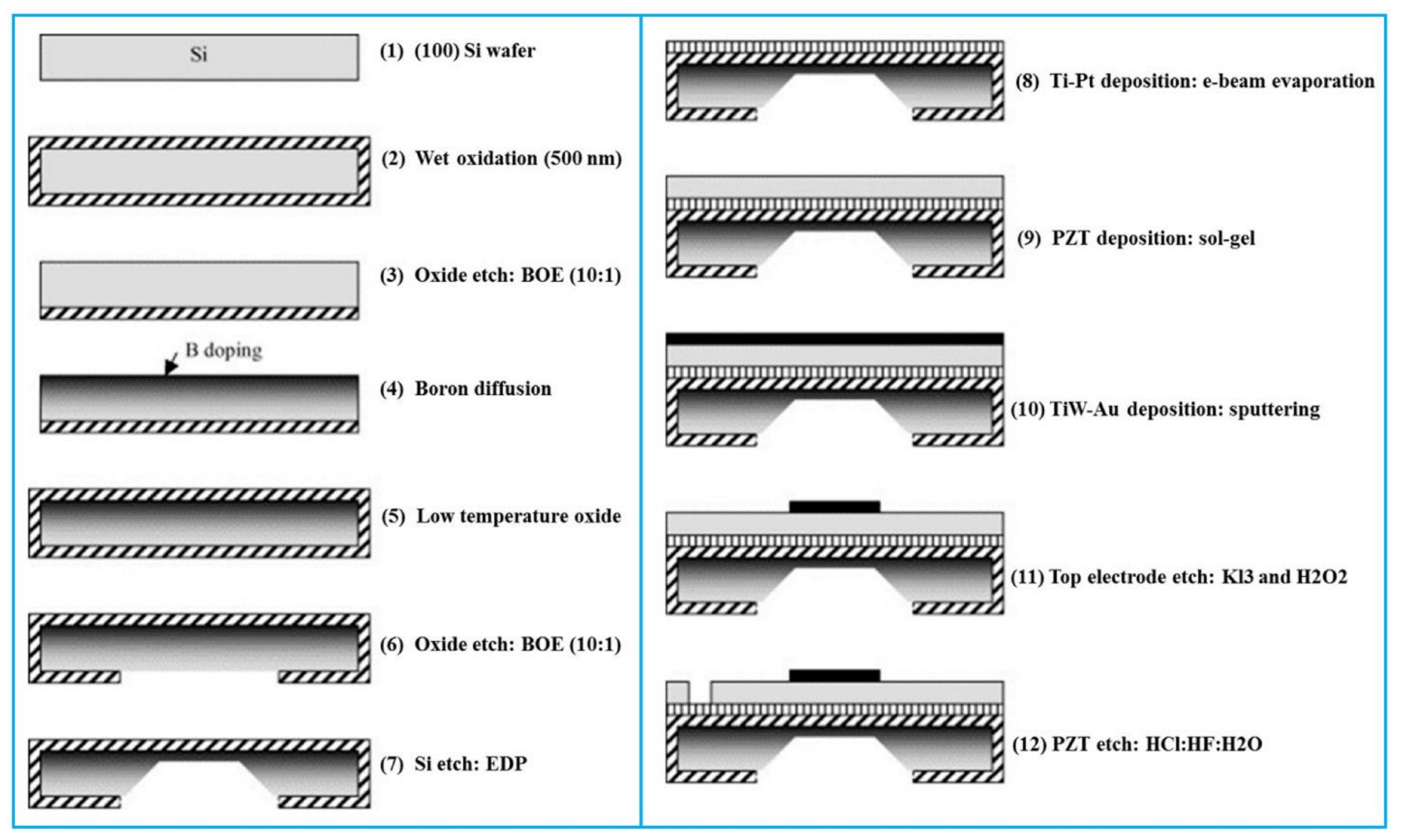 Biosensors 13 00055 g004