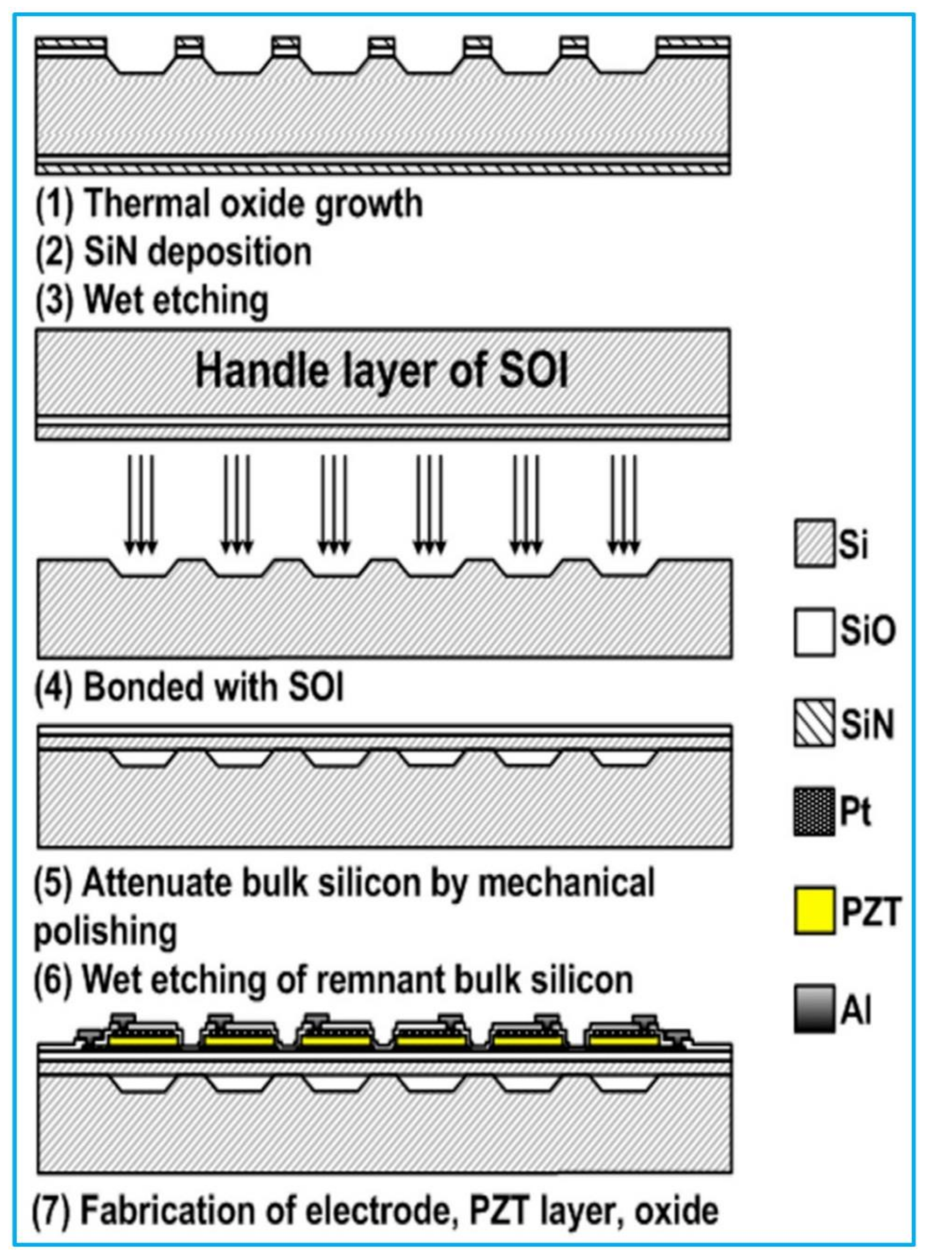 Biosensors 13 00055 g006