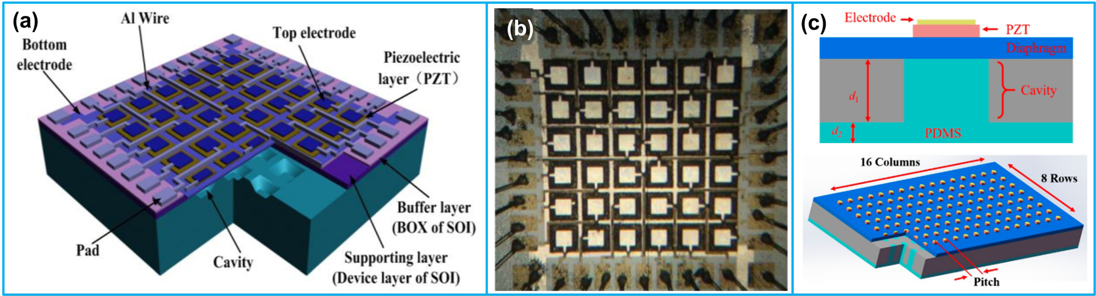 Biosensors 13 00055 g007