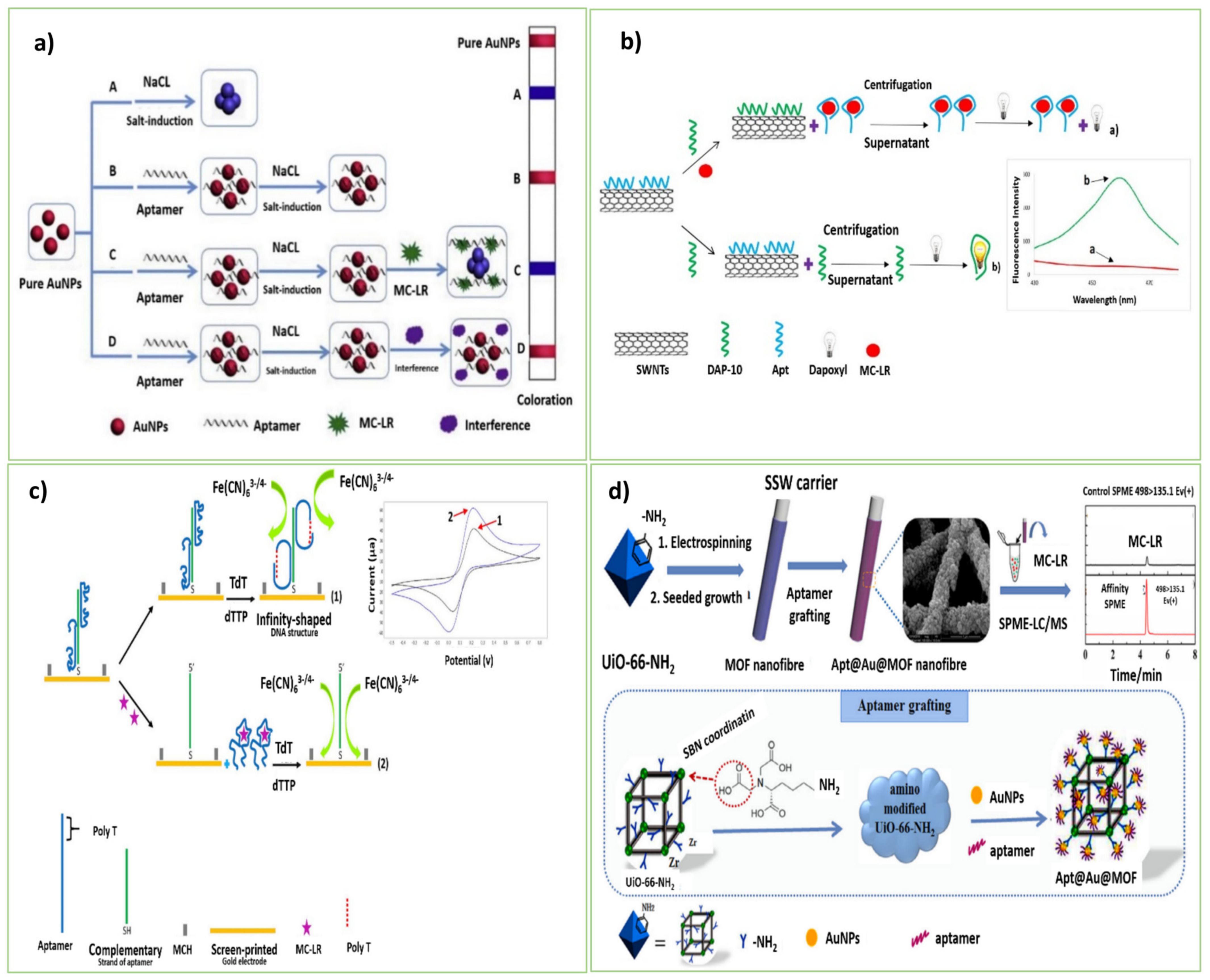 Biosensors 13 00056 g001