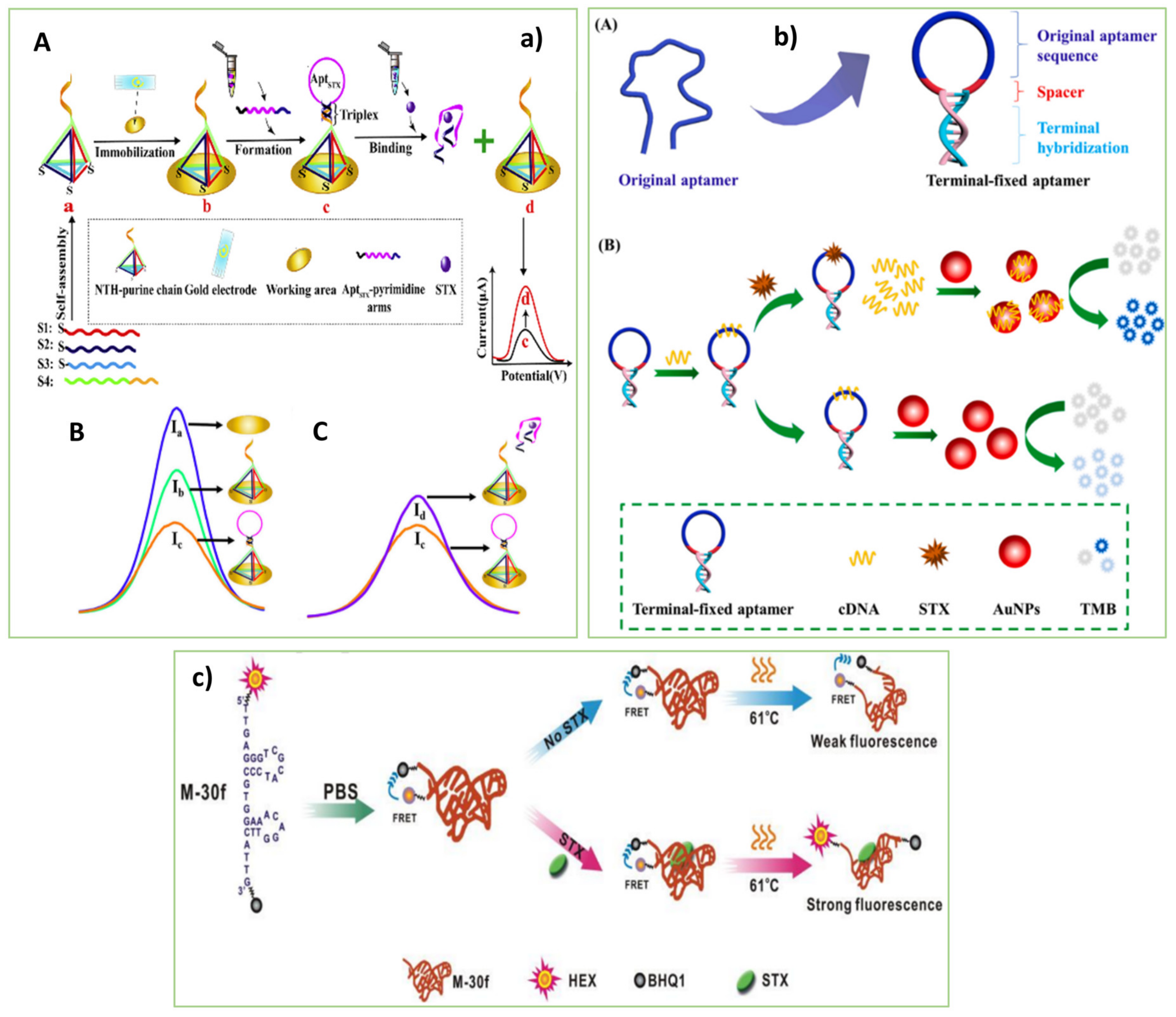 Biosensors 13 00056 g002