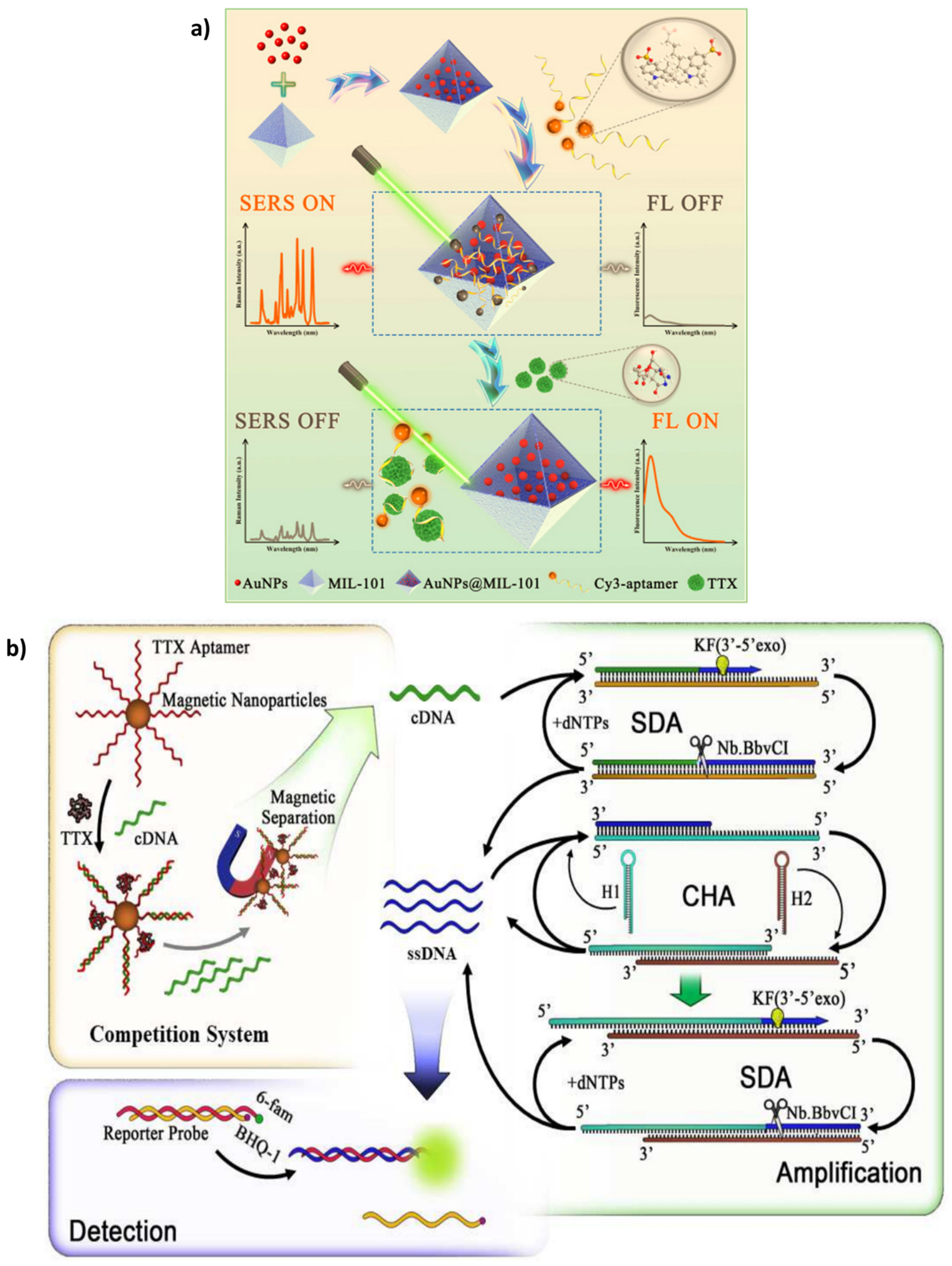 Biosensors 13 00056 g003
