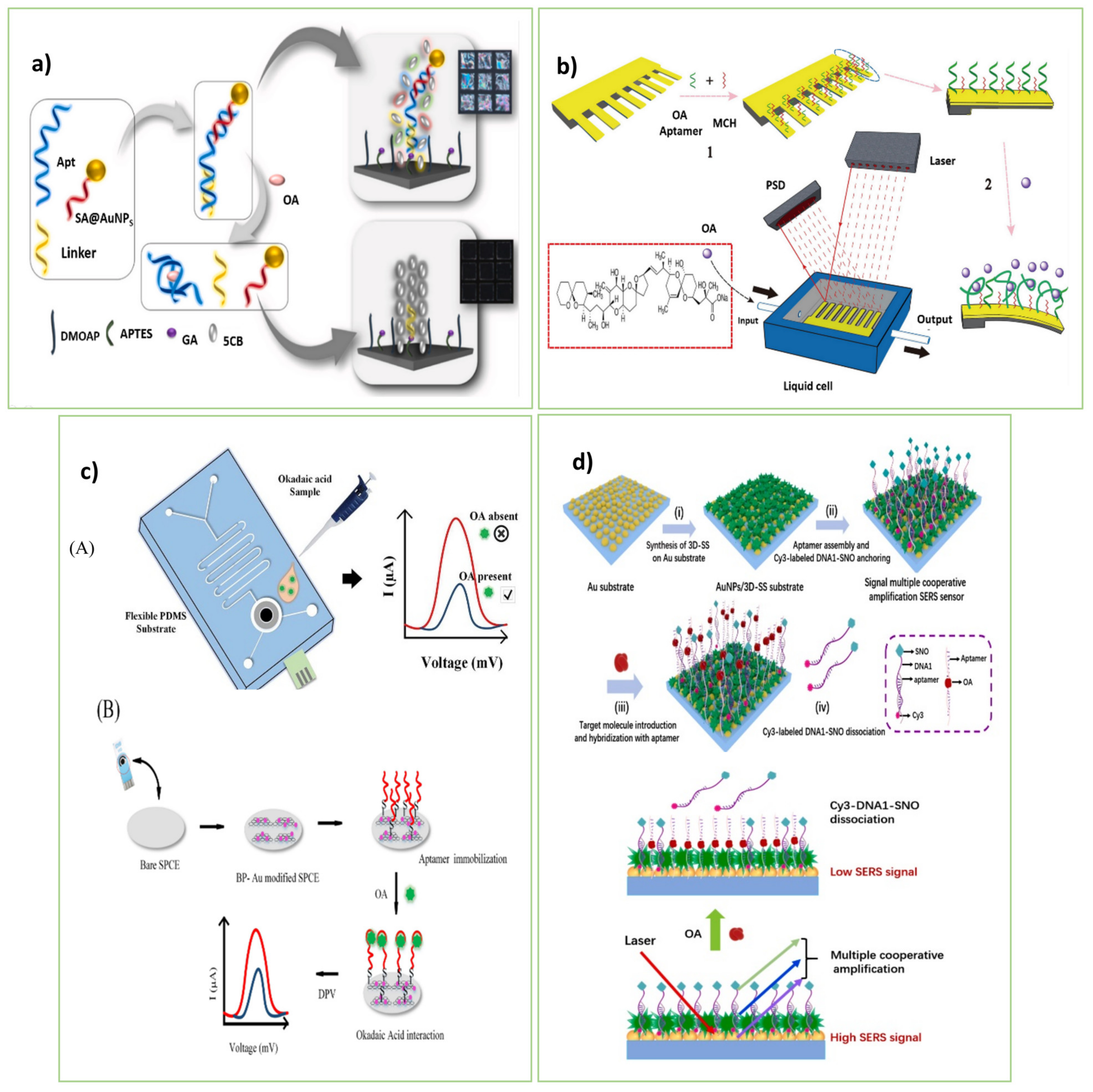 Biosensors 13 00056 g004