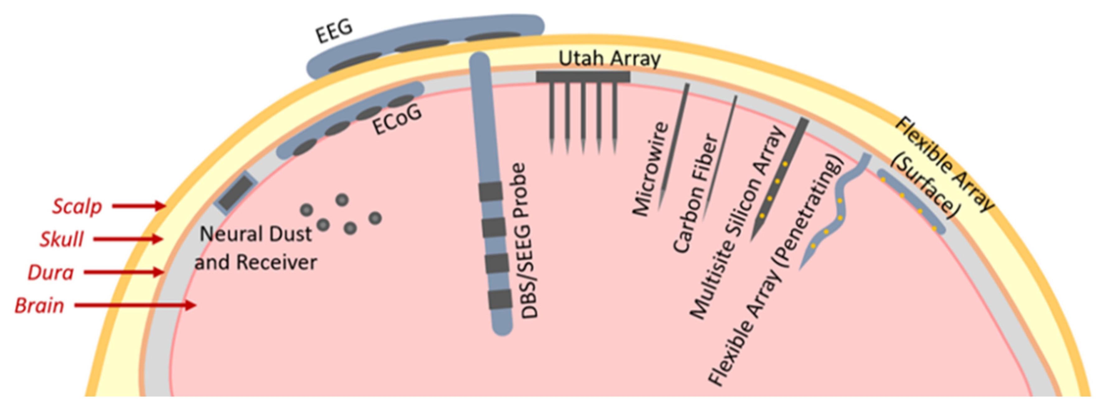 Biosensors 13 00059 g001