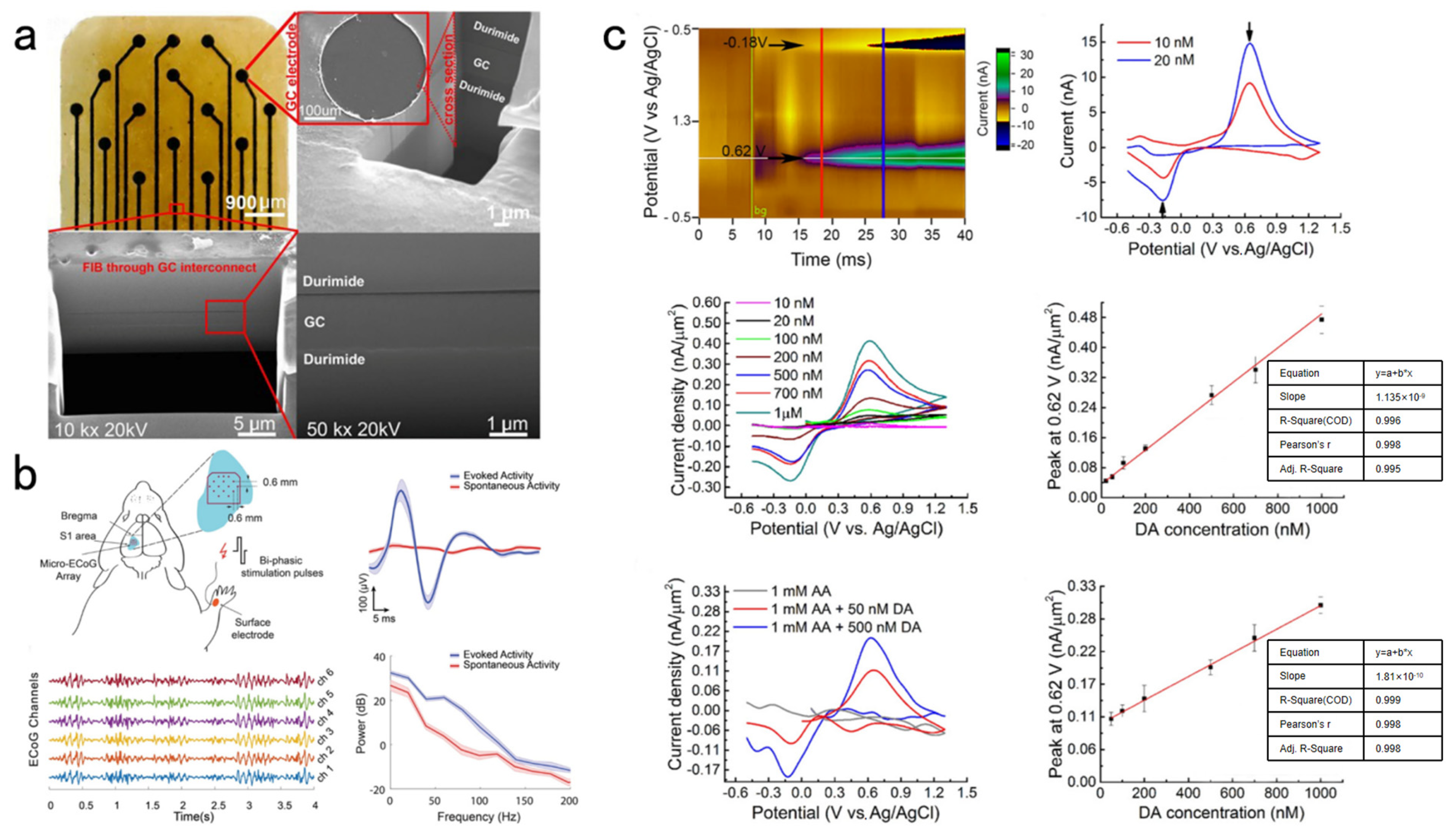 Biosensors 13 00059 g005