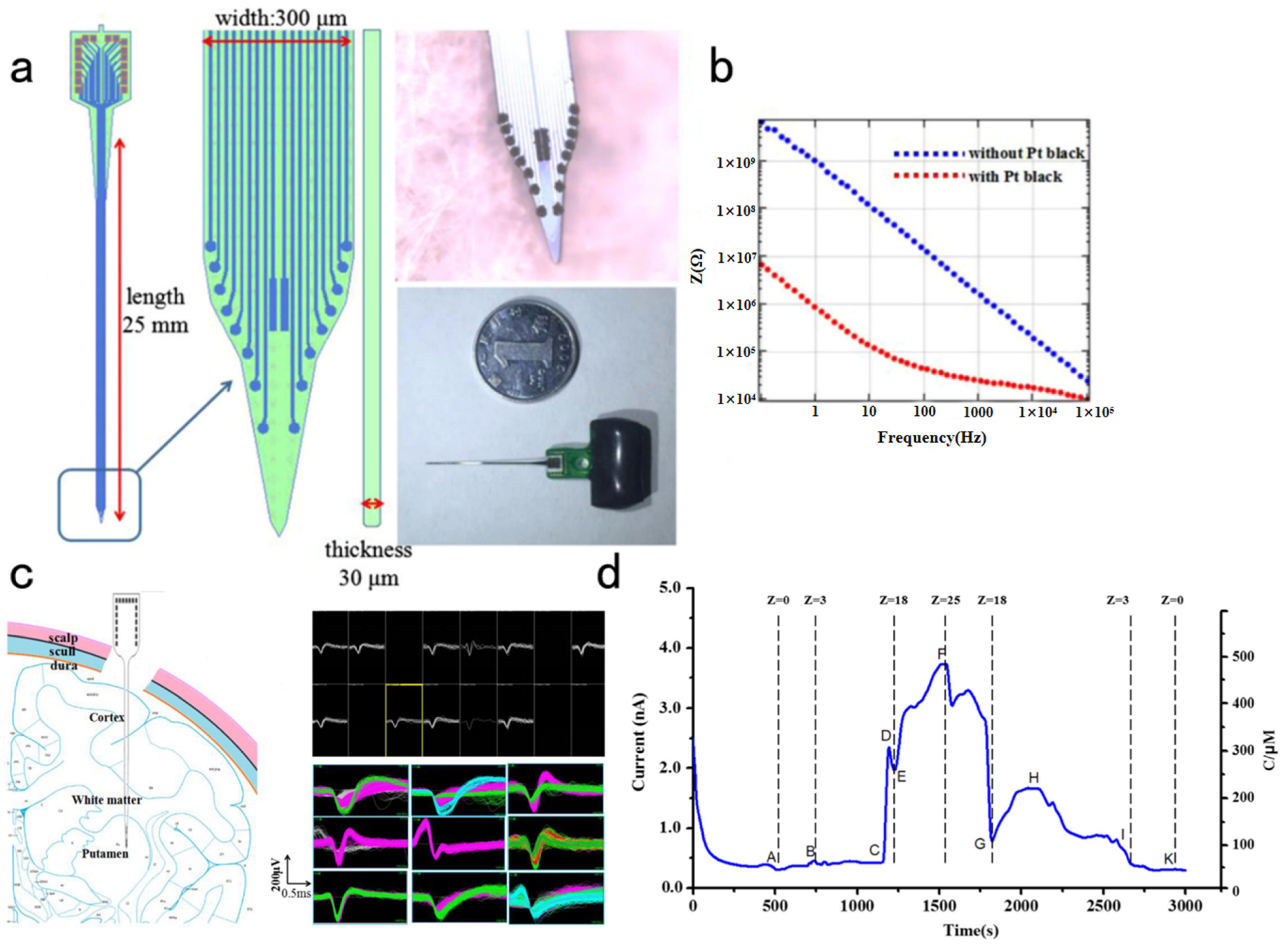 Biosensors 13 00059 g008