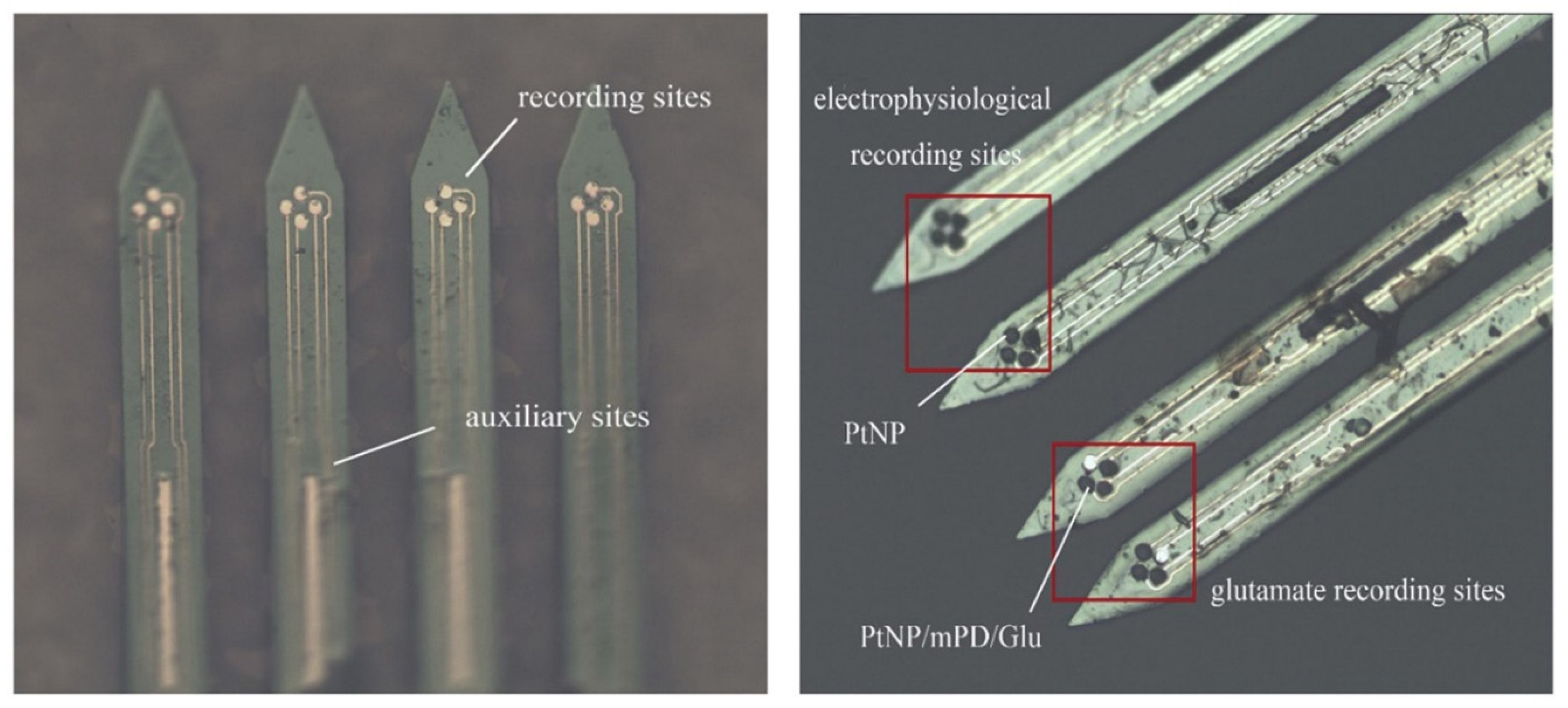 Biosensors 13 00059 g009