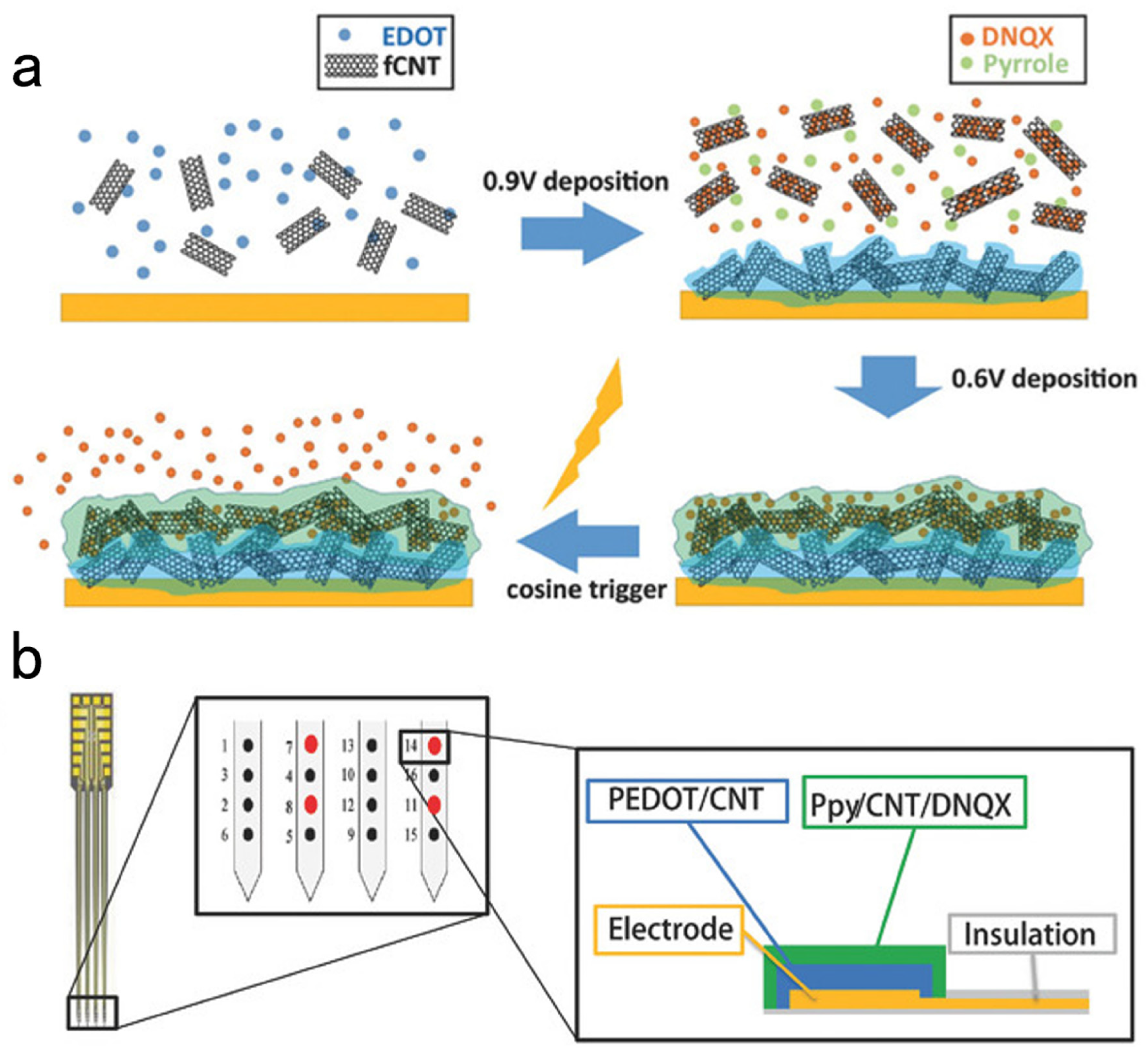 Biosensors 13 00059 g010