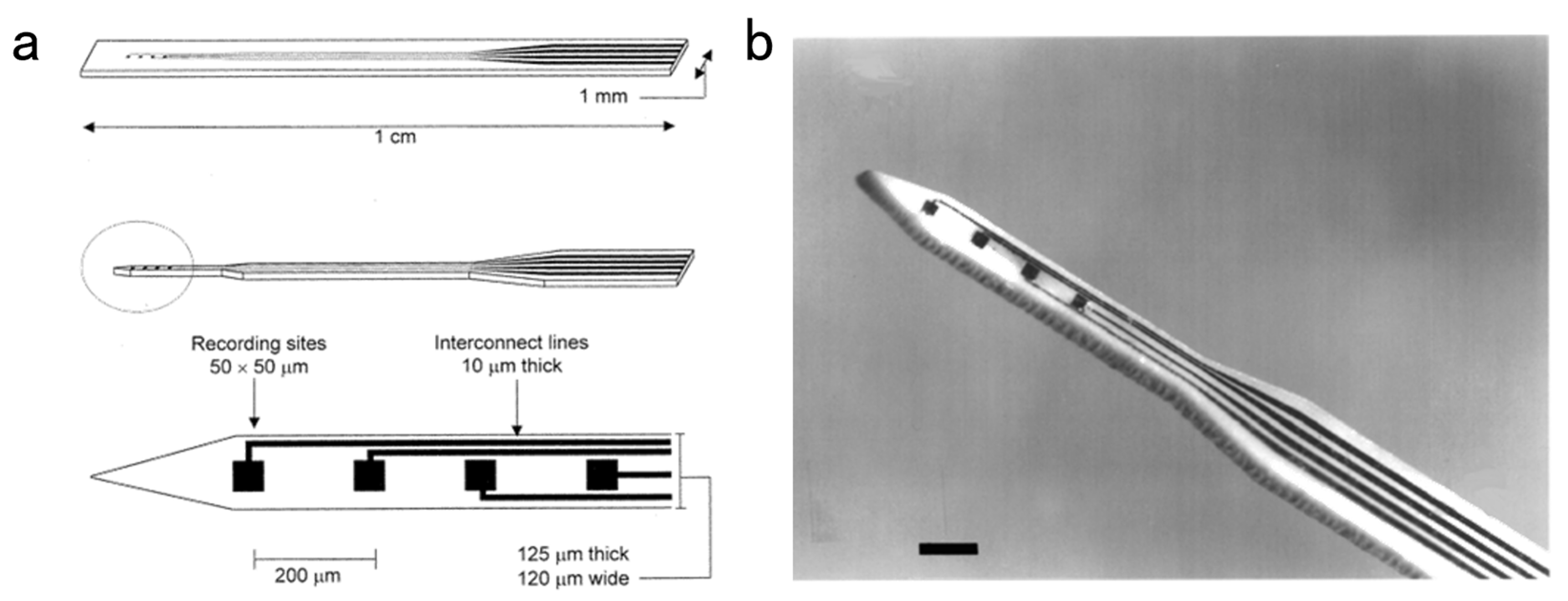 Biosensors 13 00059 g011