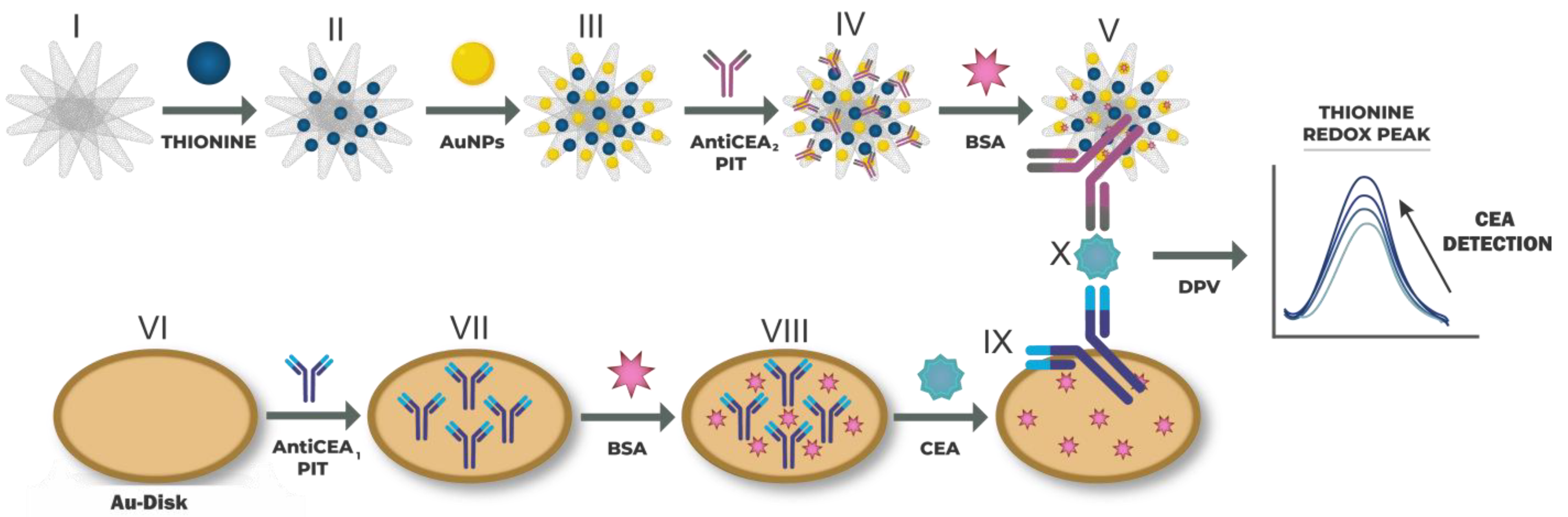 Biosensors 13 00063 g001