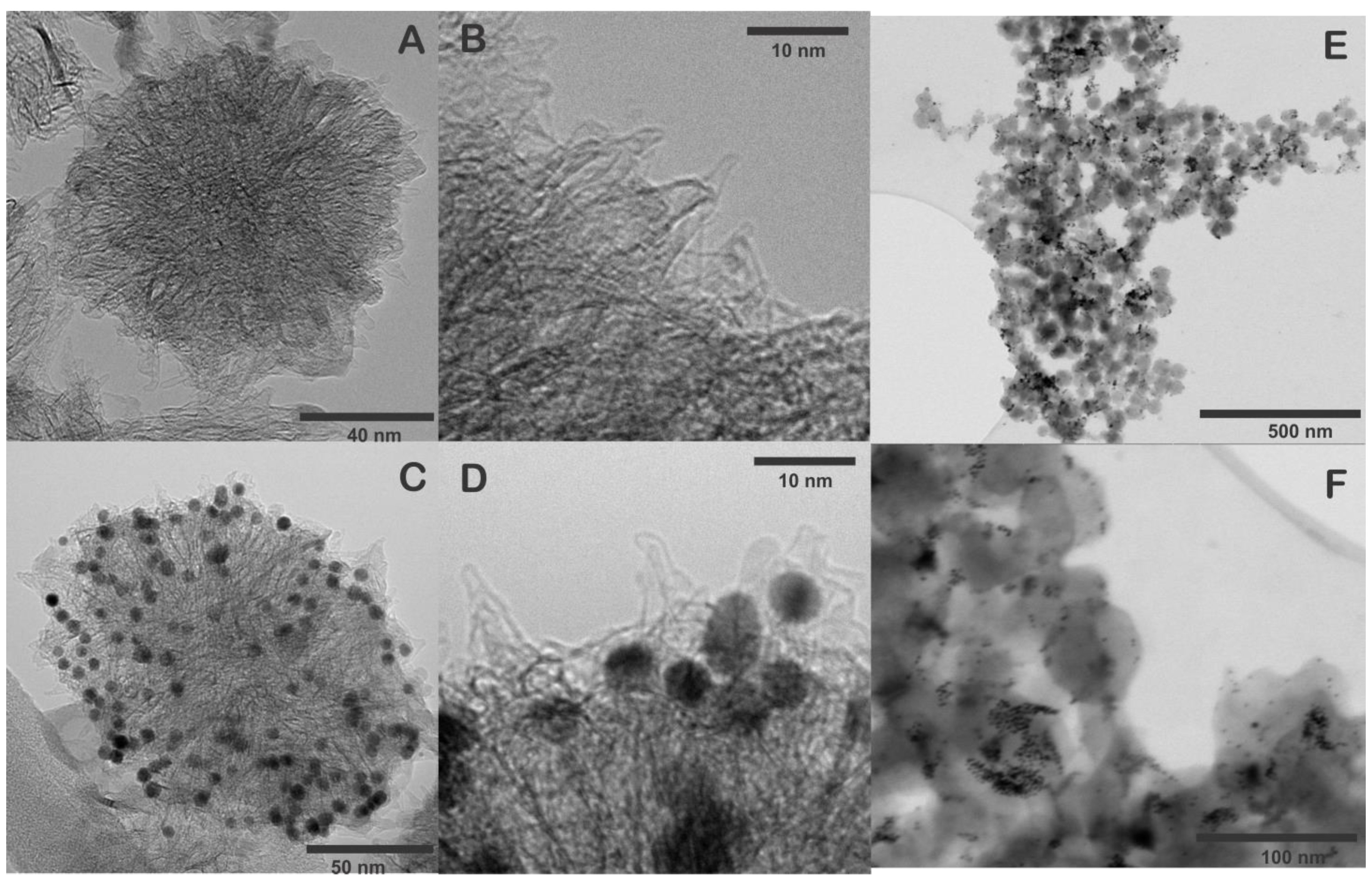 Biosensors 13 00063 g002