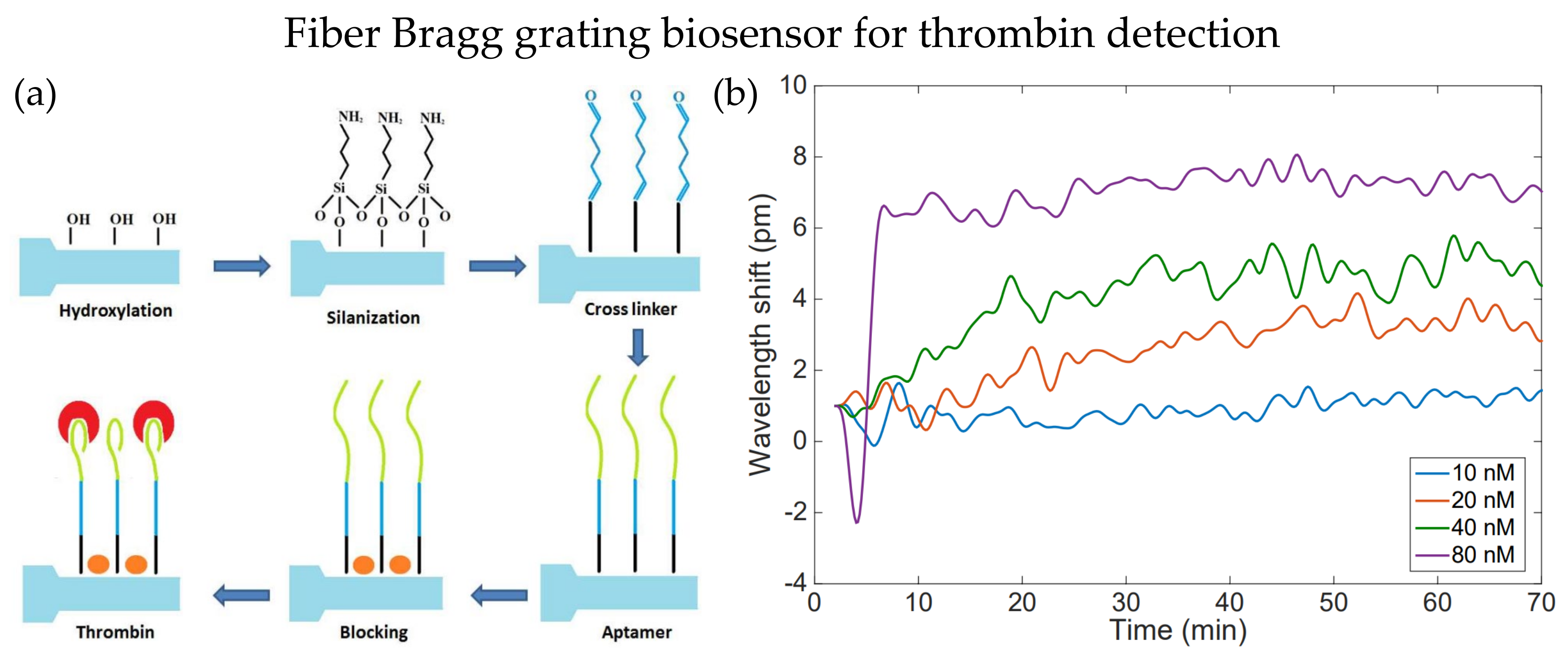 Biosensors 13 00064 g001