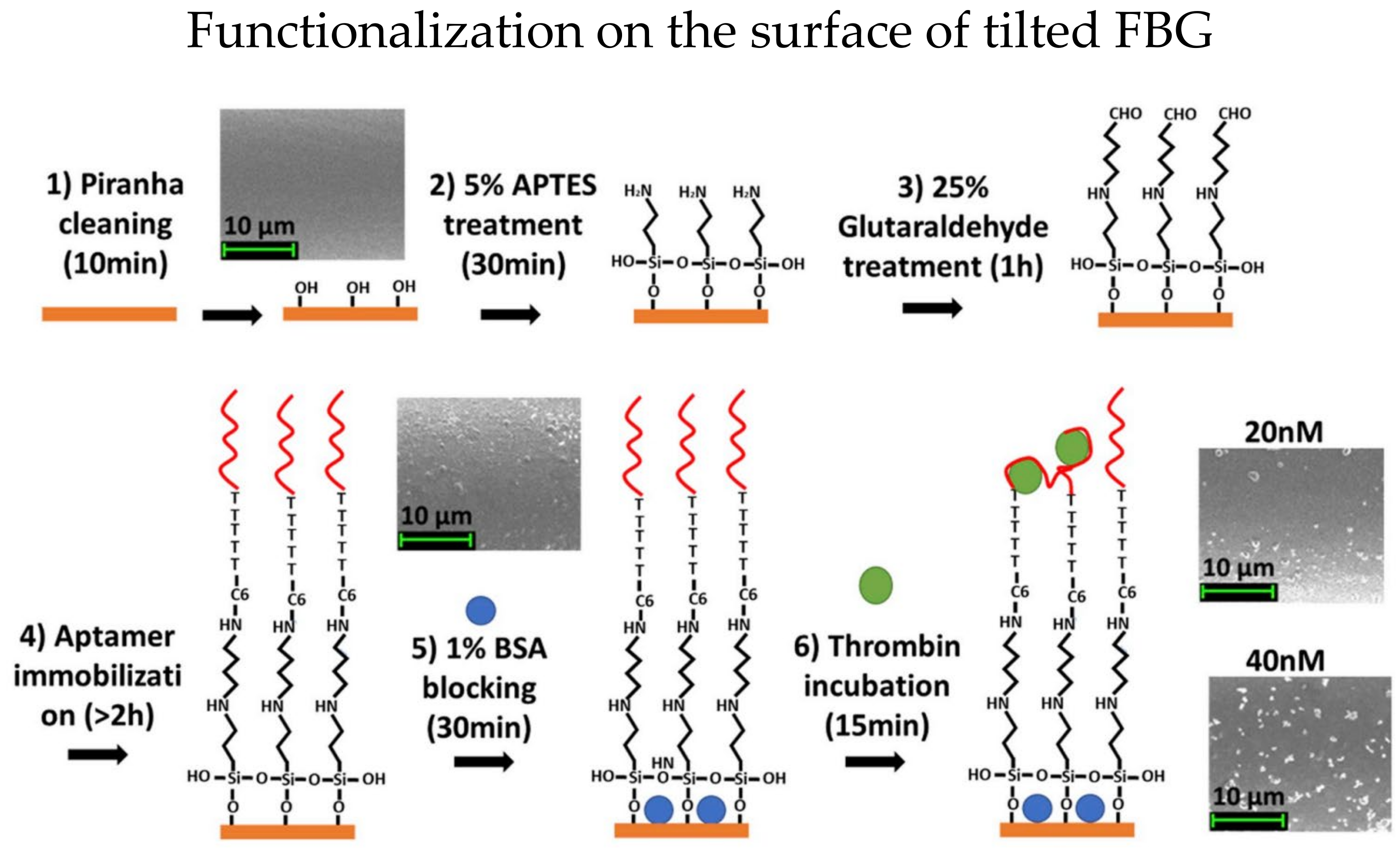 Biosensors 13 00064 g003