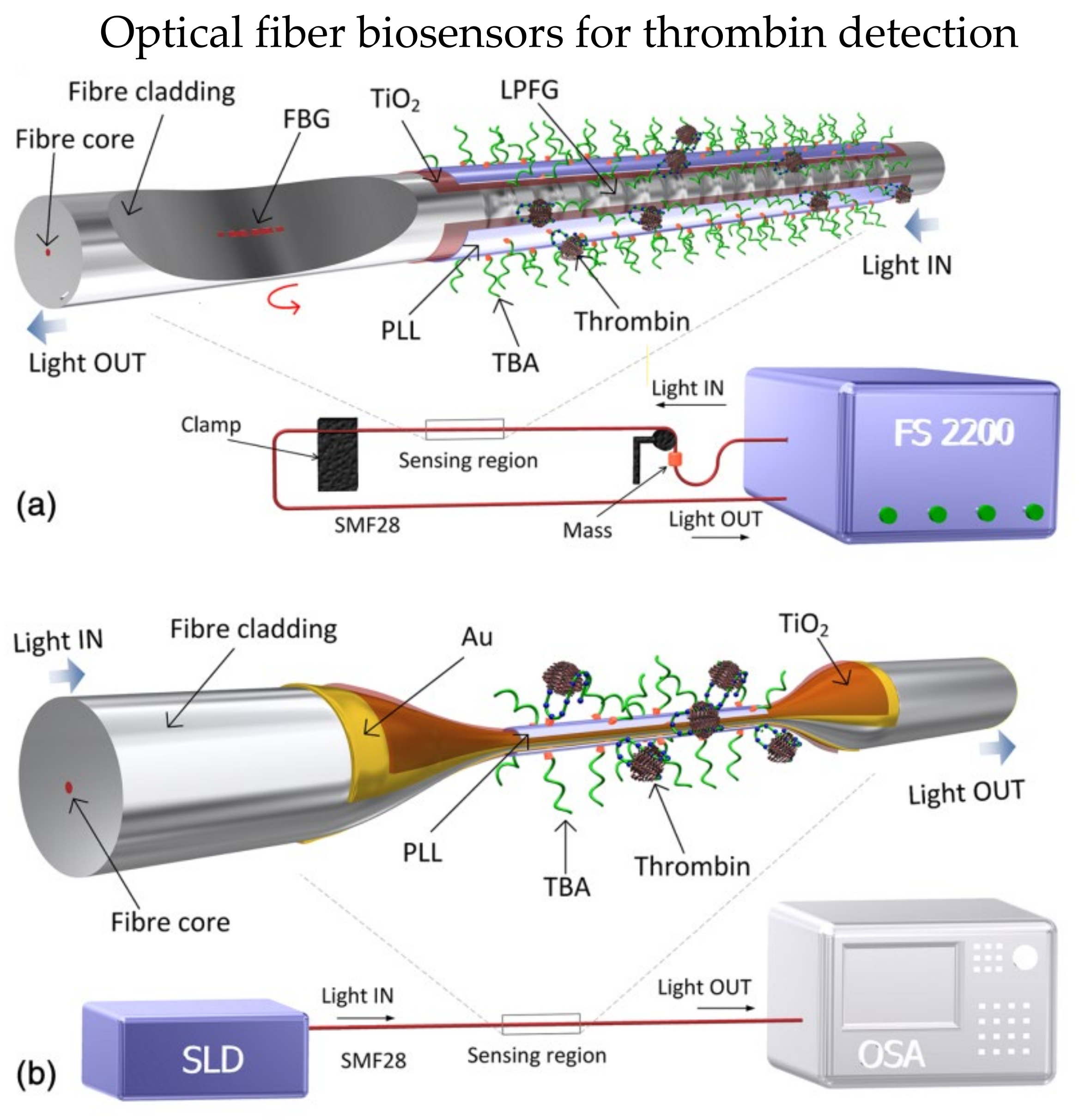 Biosensors 13 00064 g004