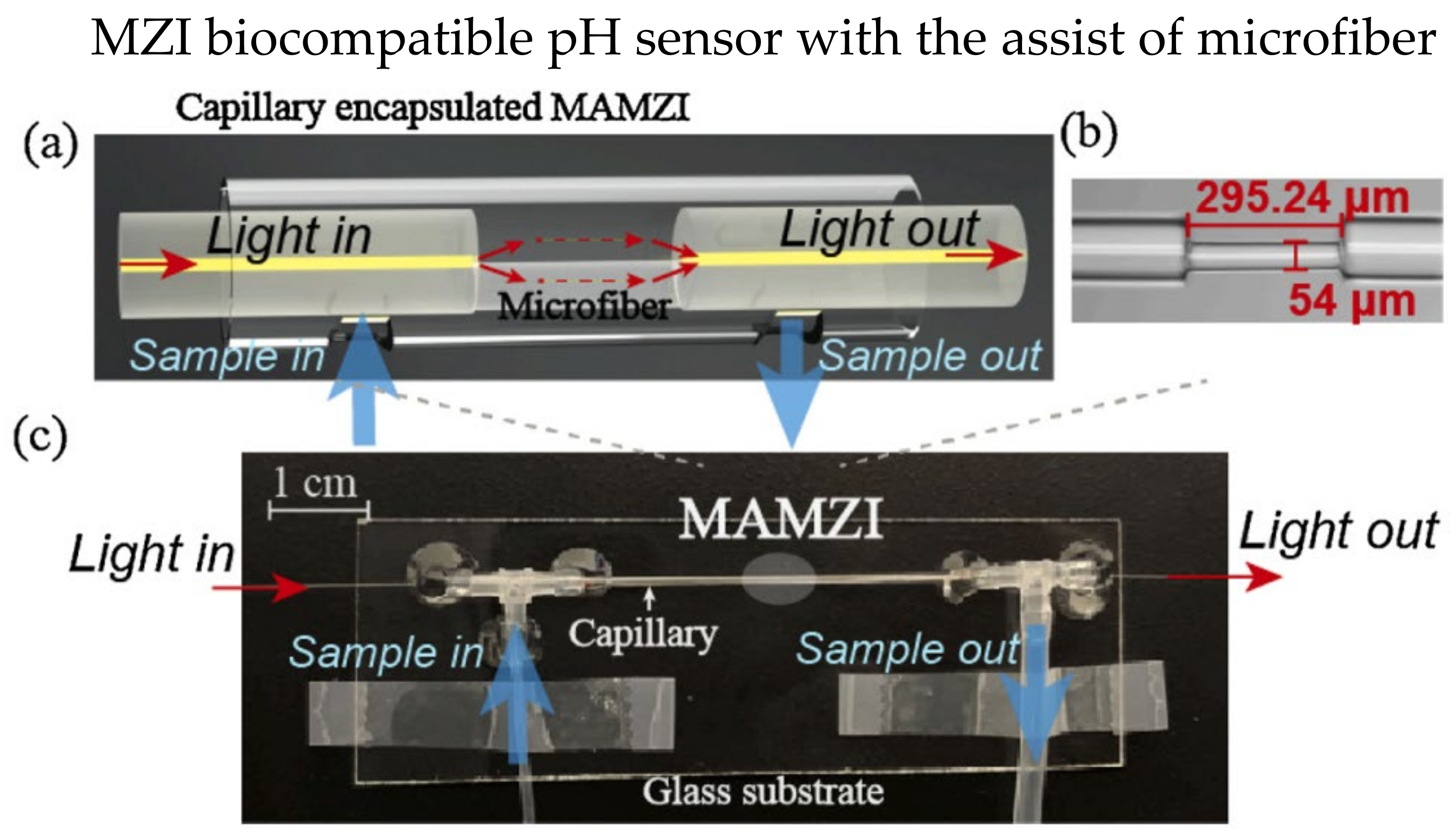 Biosensors 13 00064 g011