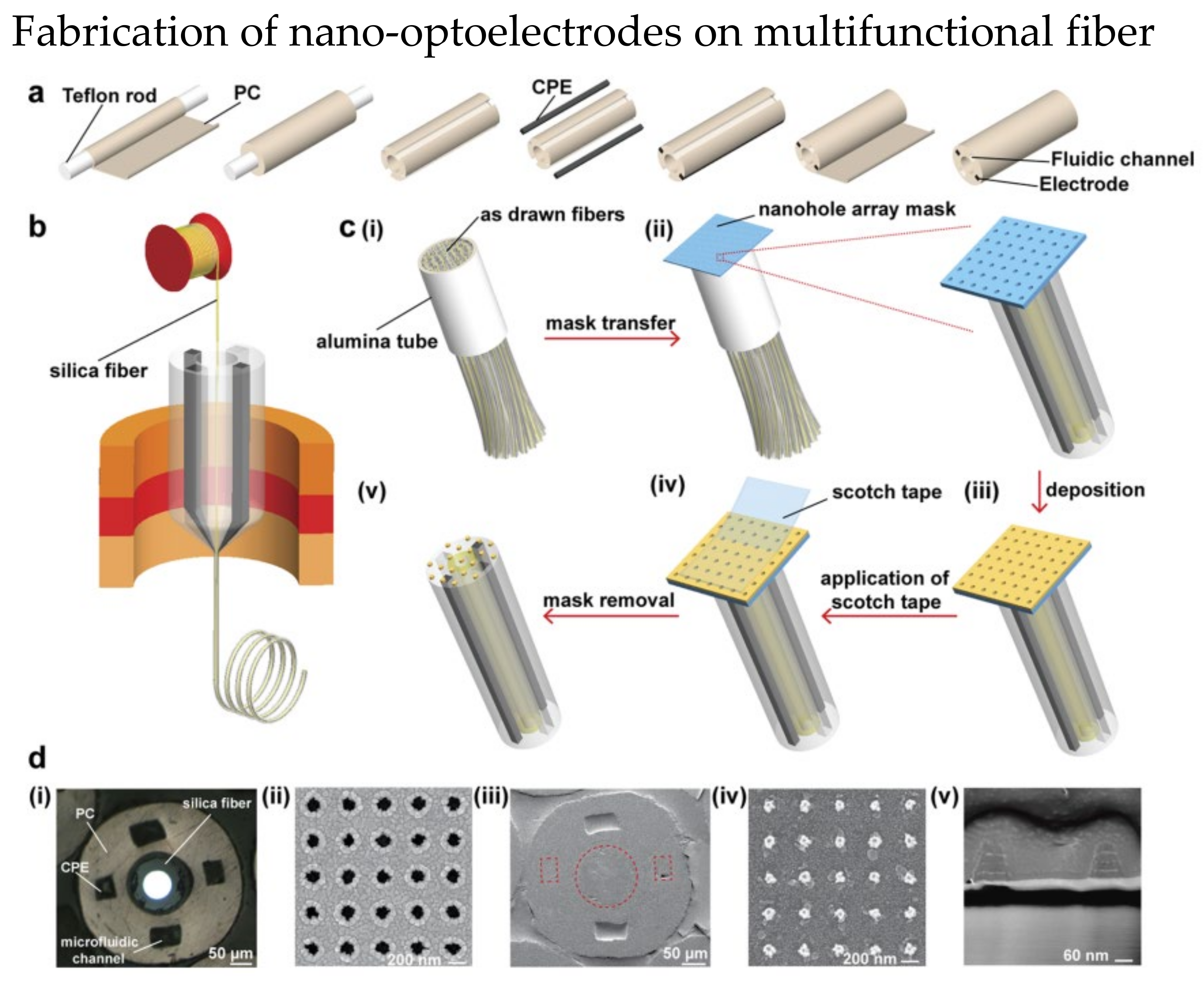 Biosensors 13 00064 g016