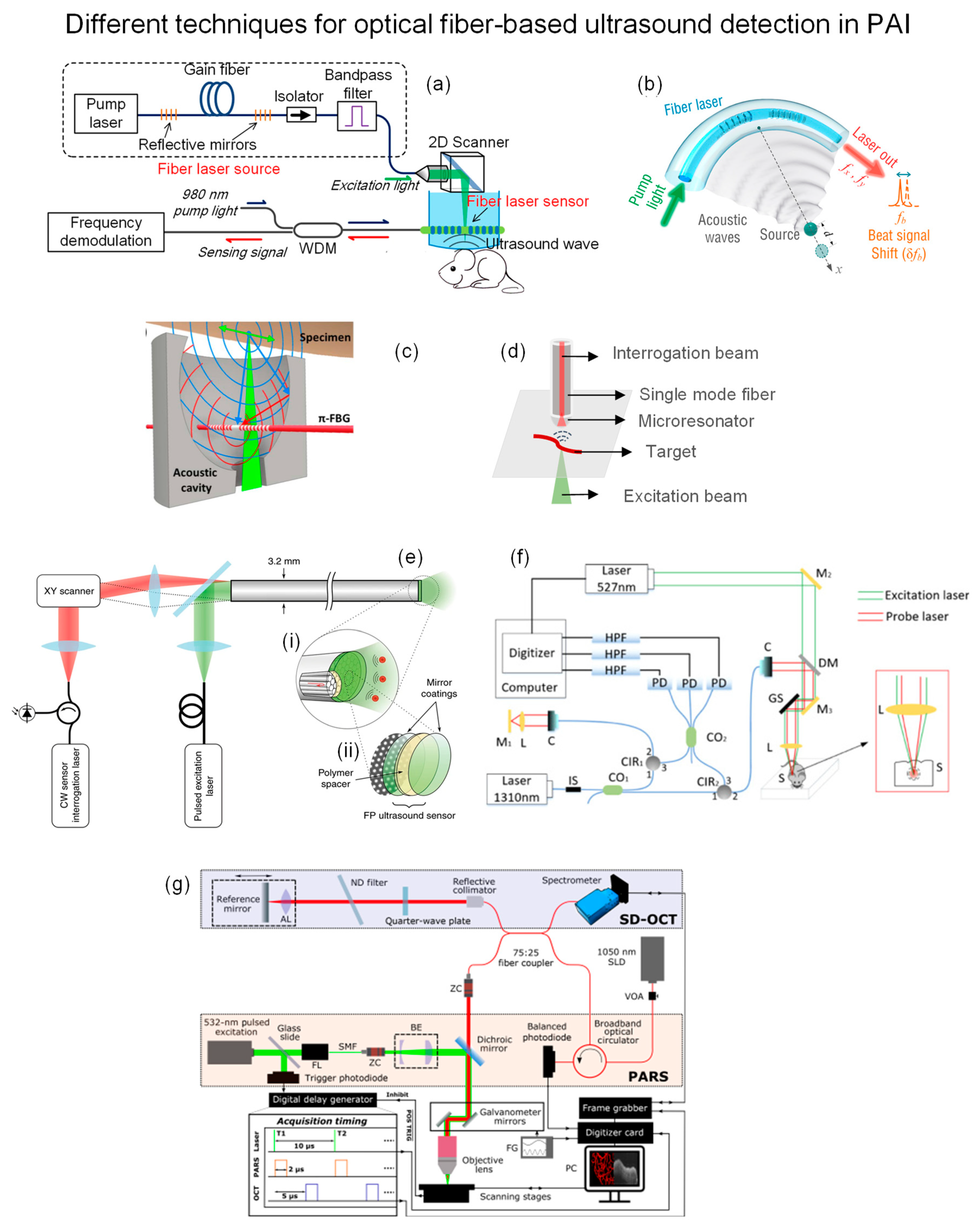 Biosensors 13 00064 g017