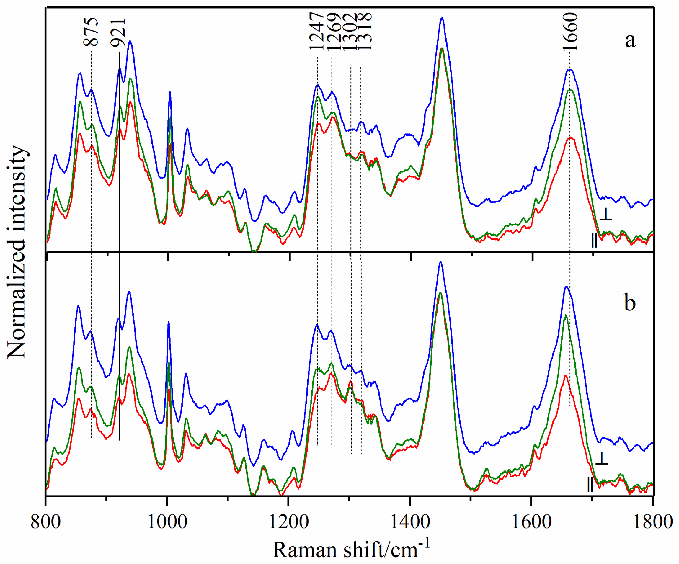 Biosensors 13 00065 g002