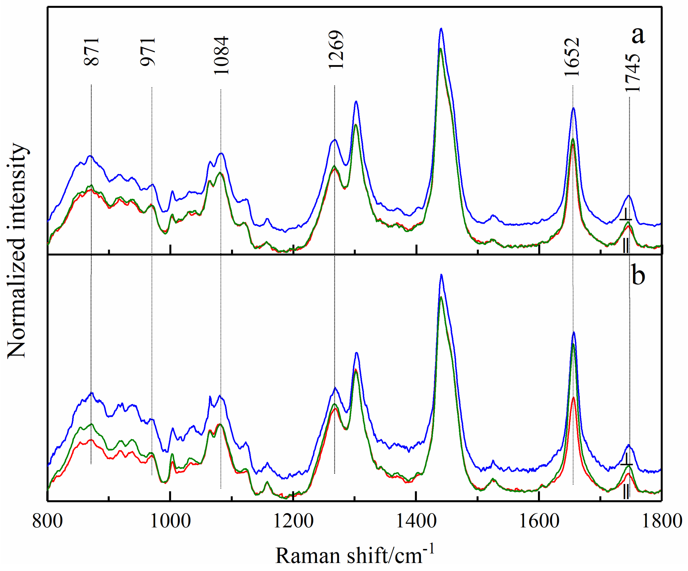 Biosensors 13 00065 g003