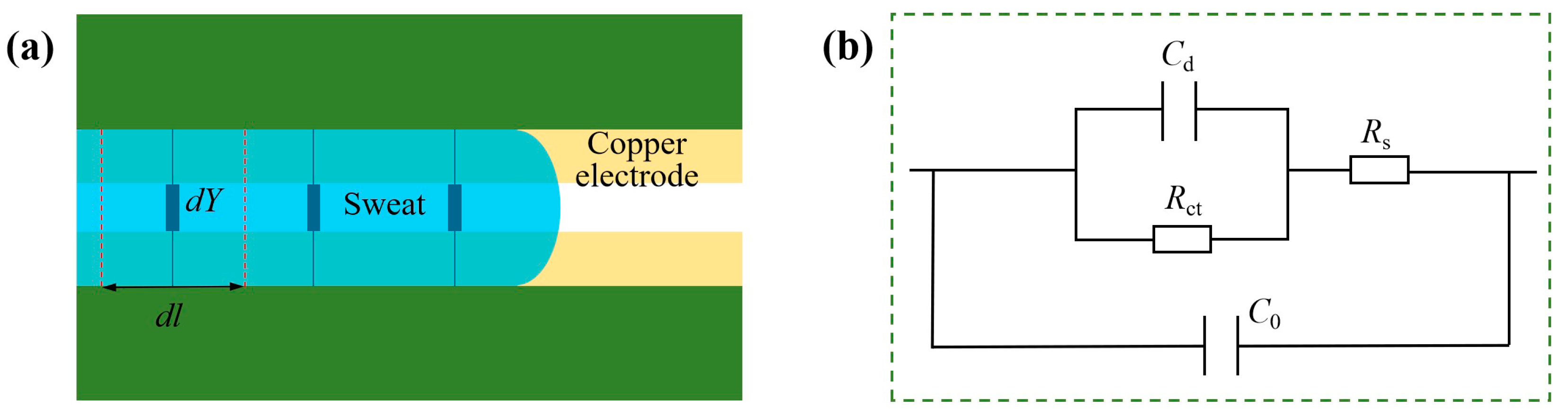 Biosensors 13 00067 g002