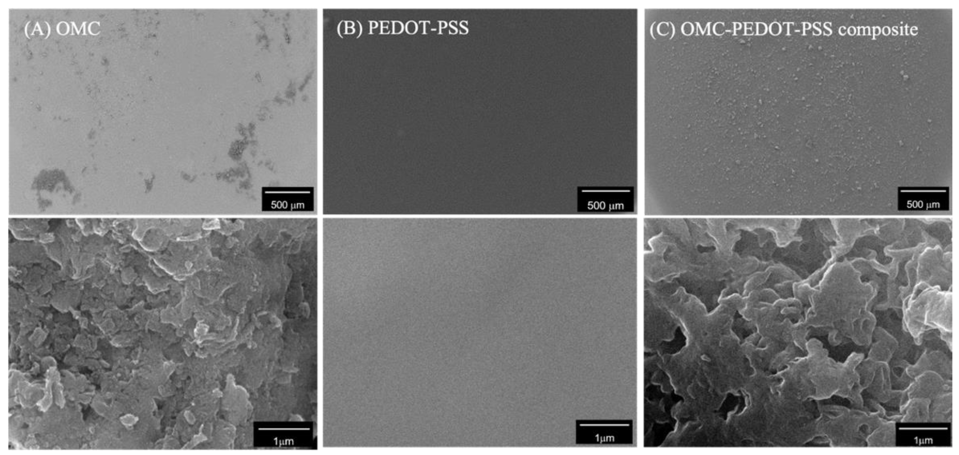 Biosensors 13 00068 g002