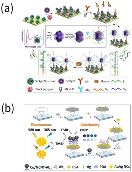 Biosensors 13 00069 g002