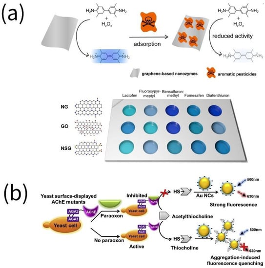 Biosensors 13 00069 g003