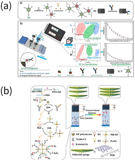 Biosensors 13 00069 g004