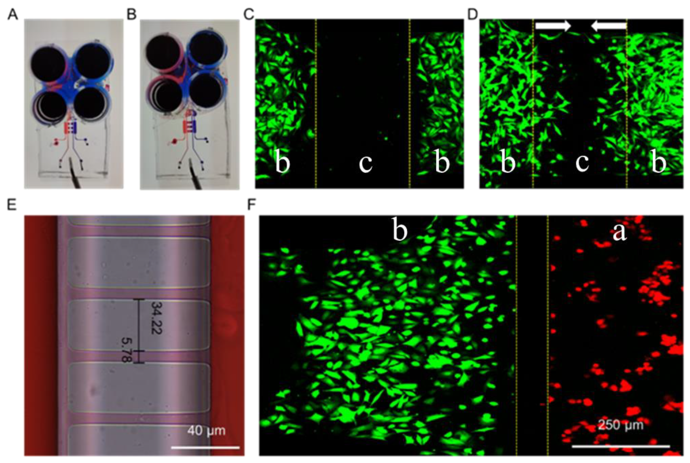 Biosensors 13 00070 g002