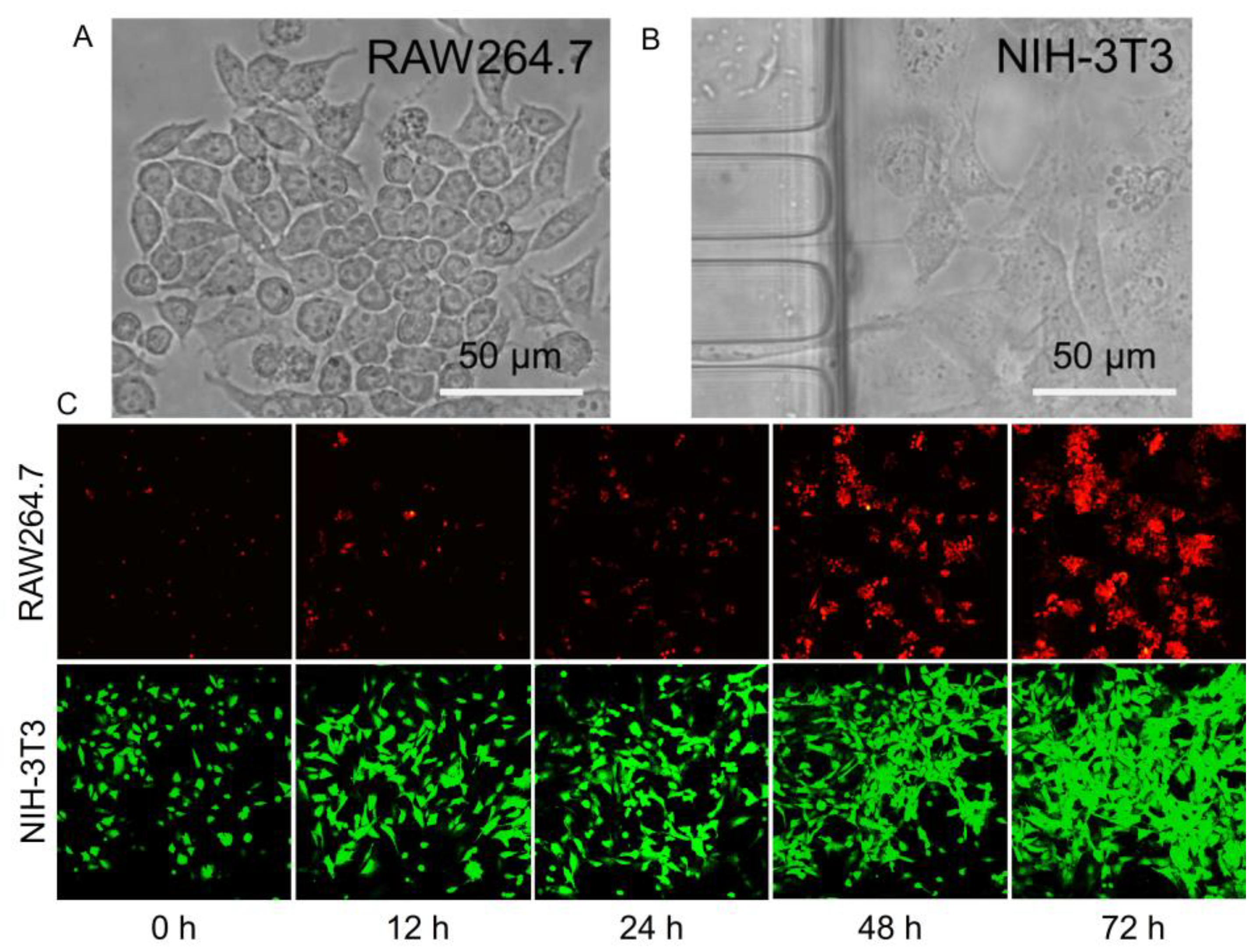 Biosensors 13 00070 g003