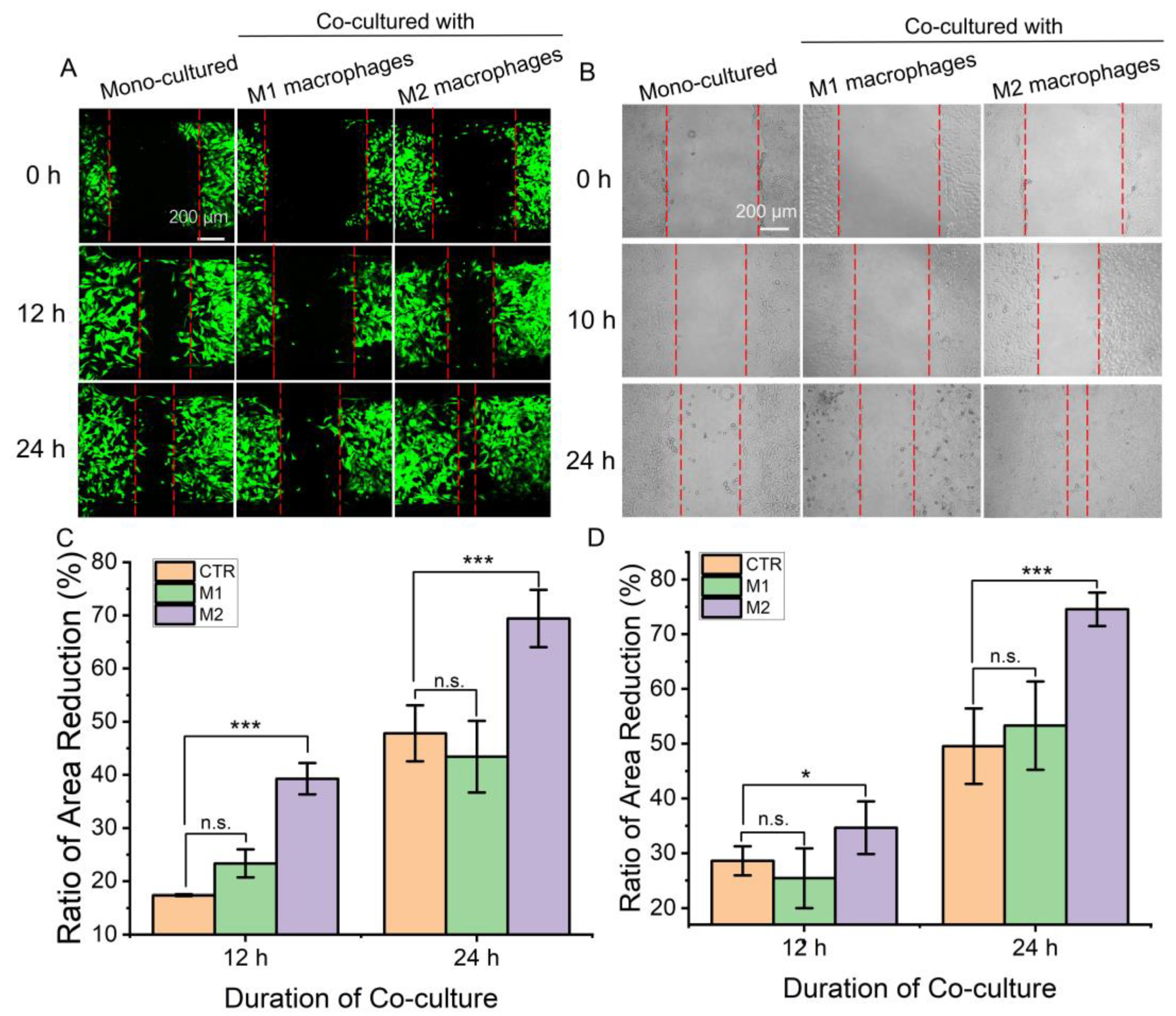 Biosensors 13 00070 g004