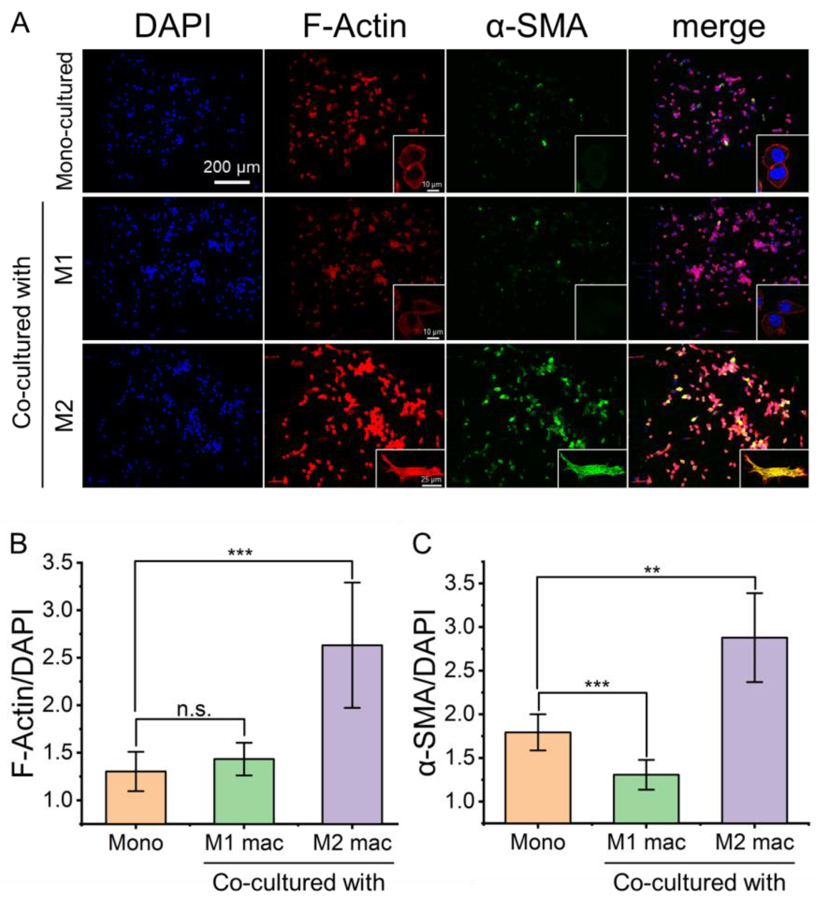 Biosensors 13 00070 g005