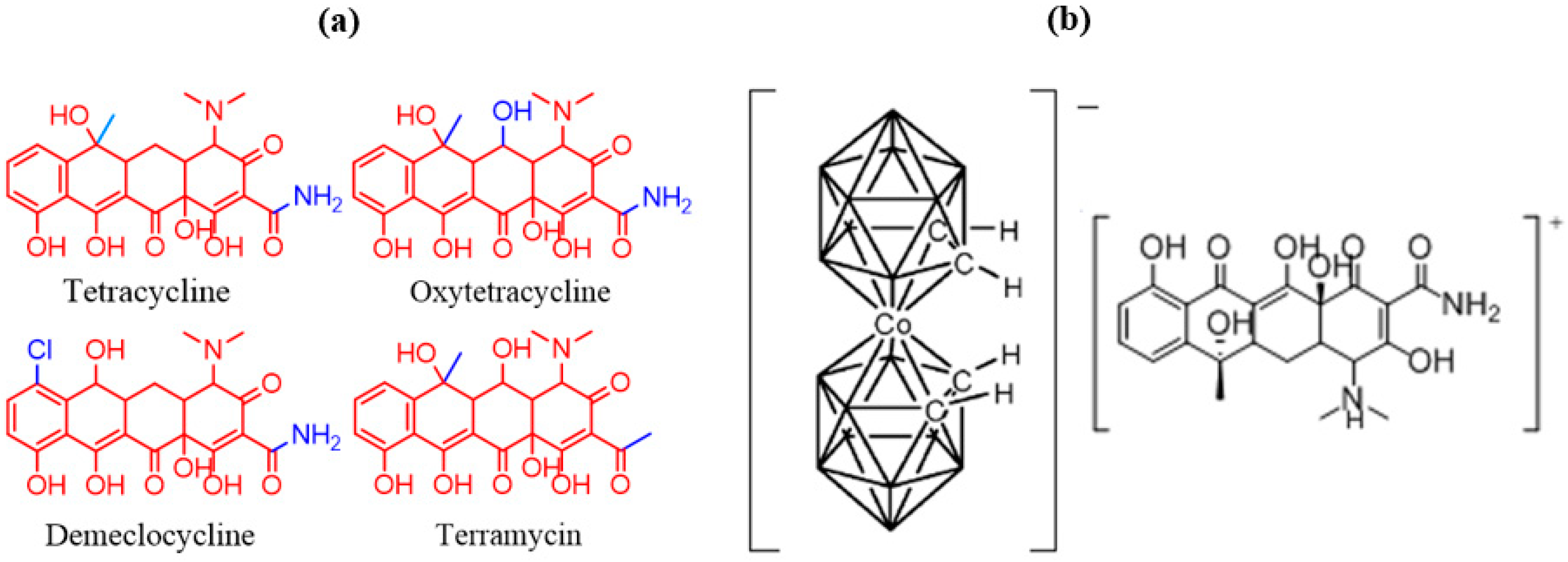 Biosensors 13 00071 g001