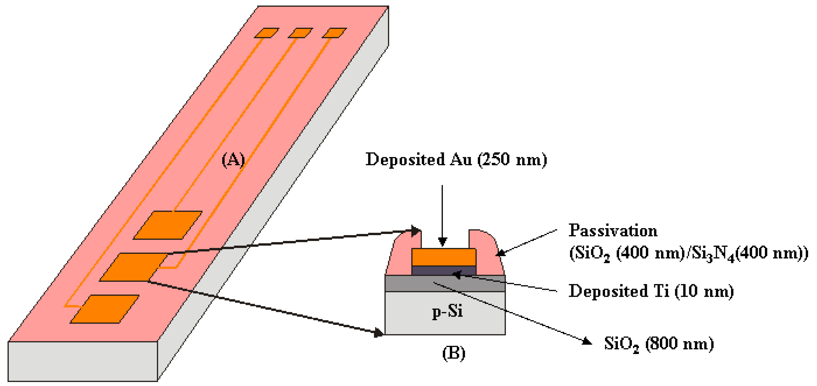 Biosensors 13 00071 g002