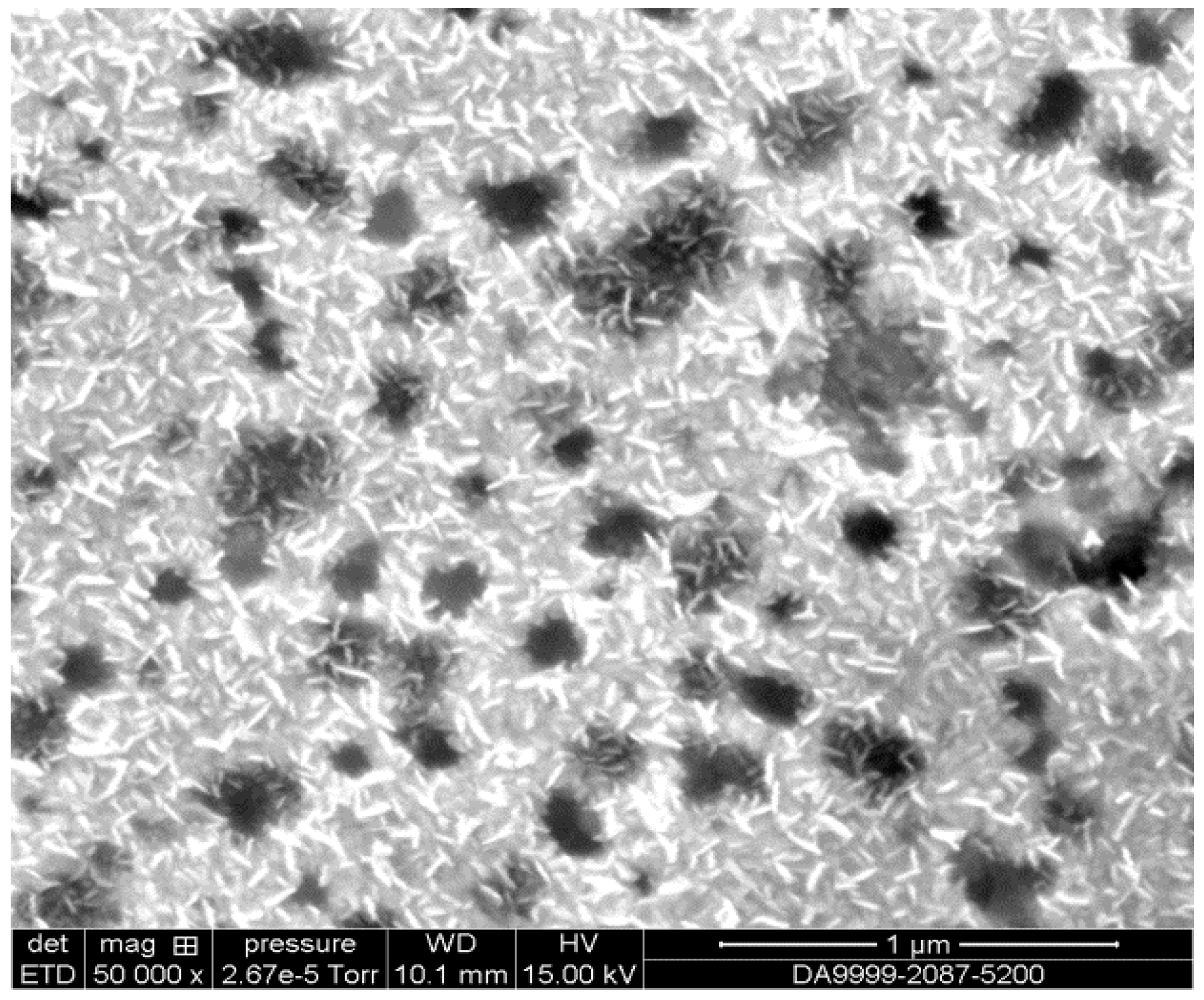 Biosensors 13 00071 g005