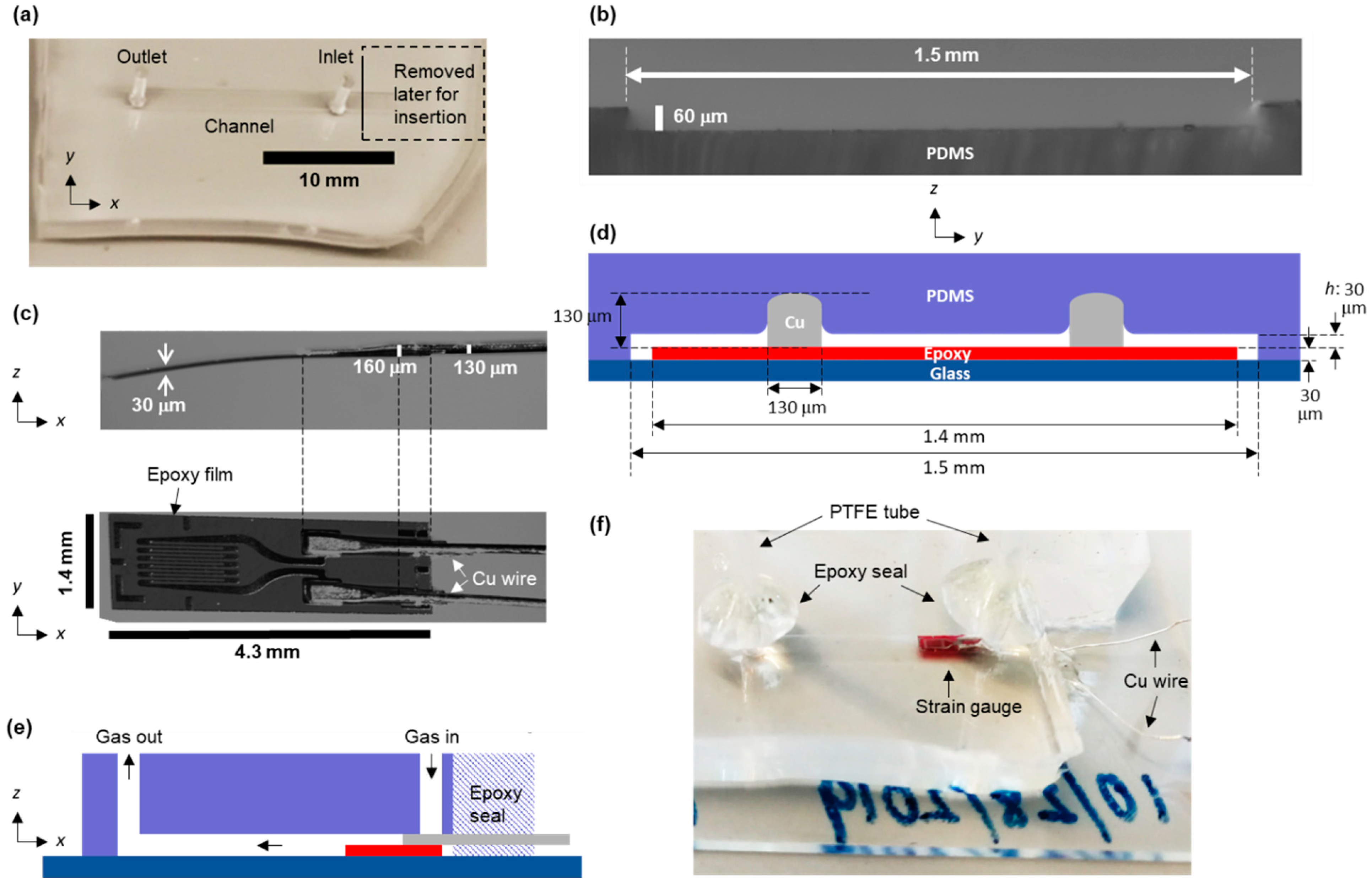 Biosensors 13 00076 g001