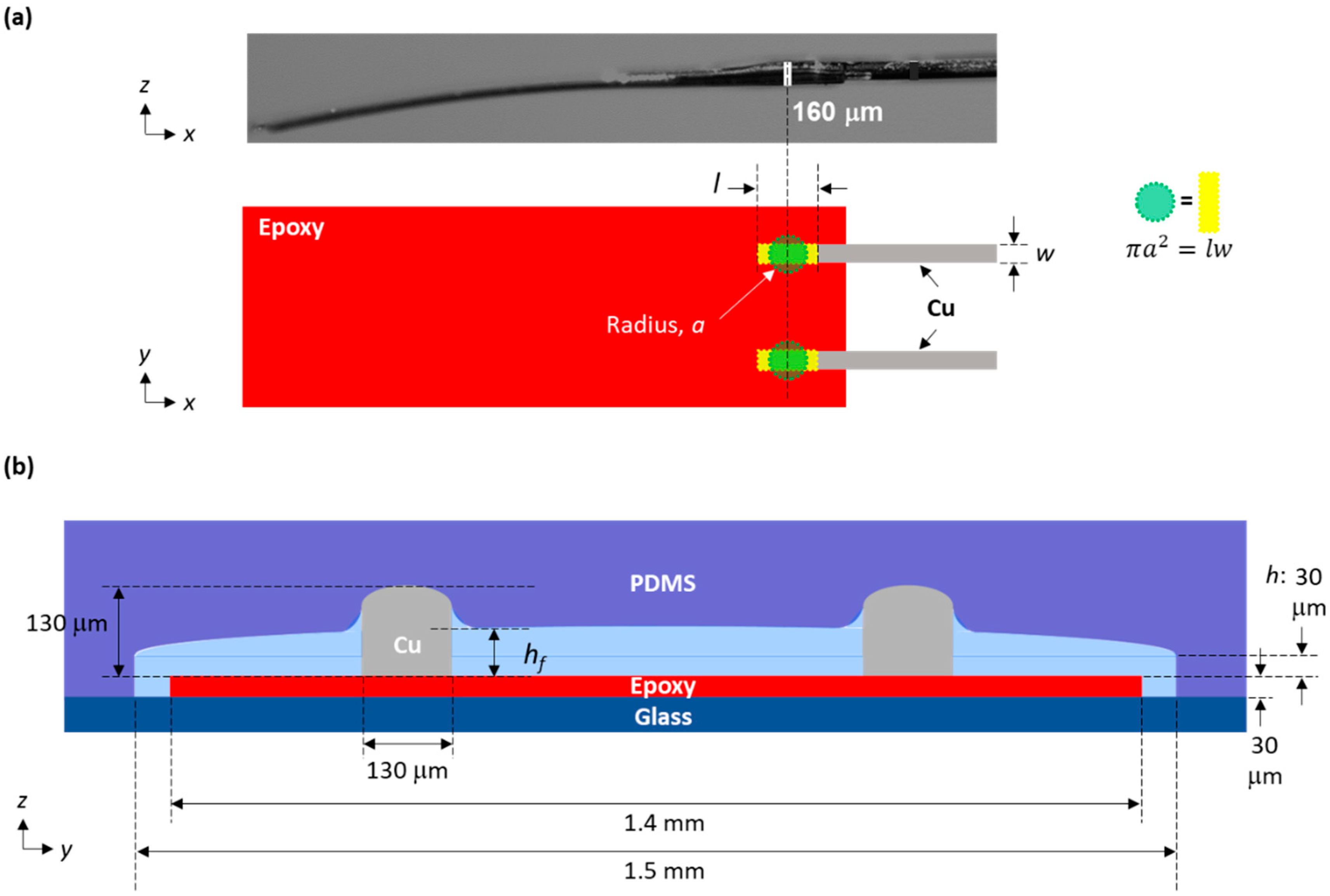 Biosensors 13 00076 g004