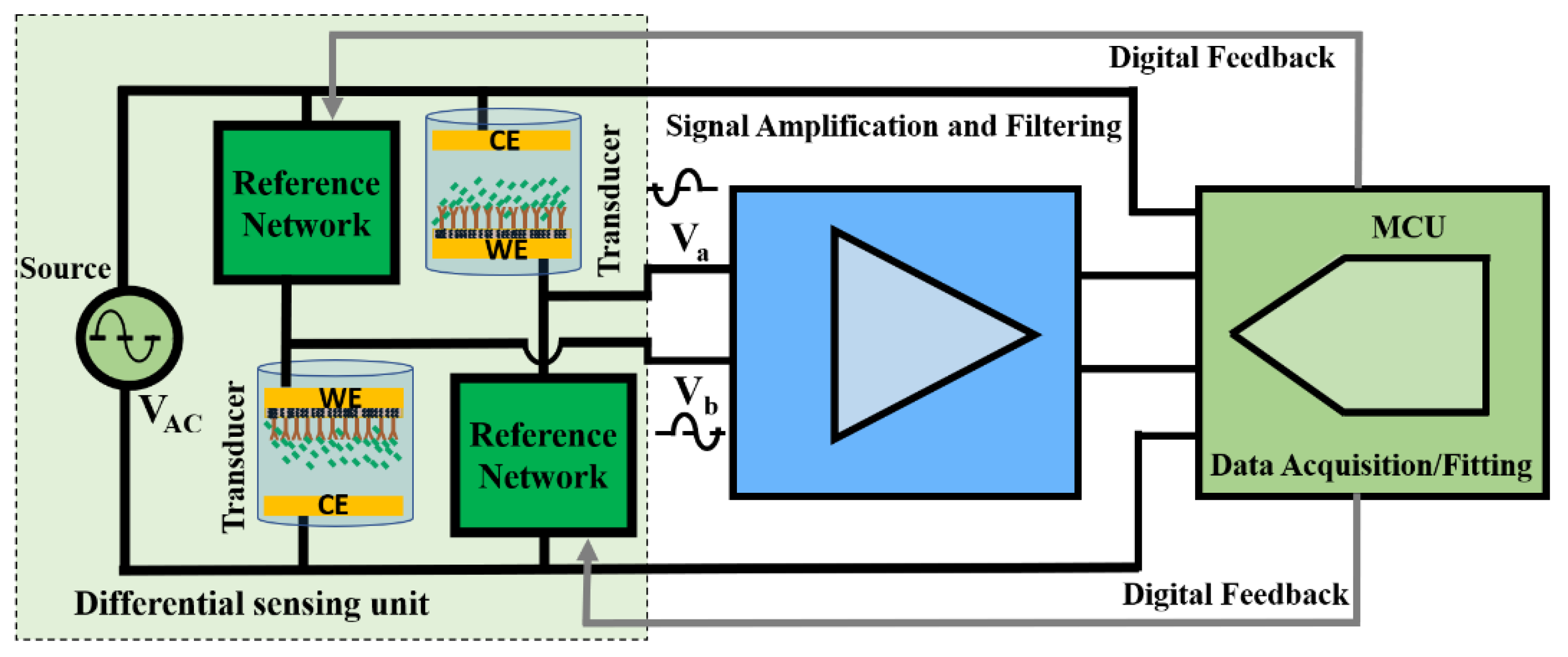 Biosensors 13 00077 g001