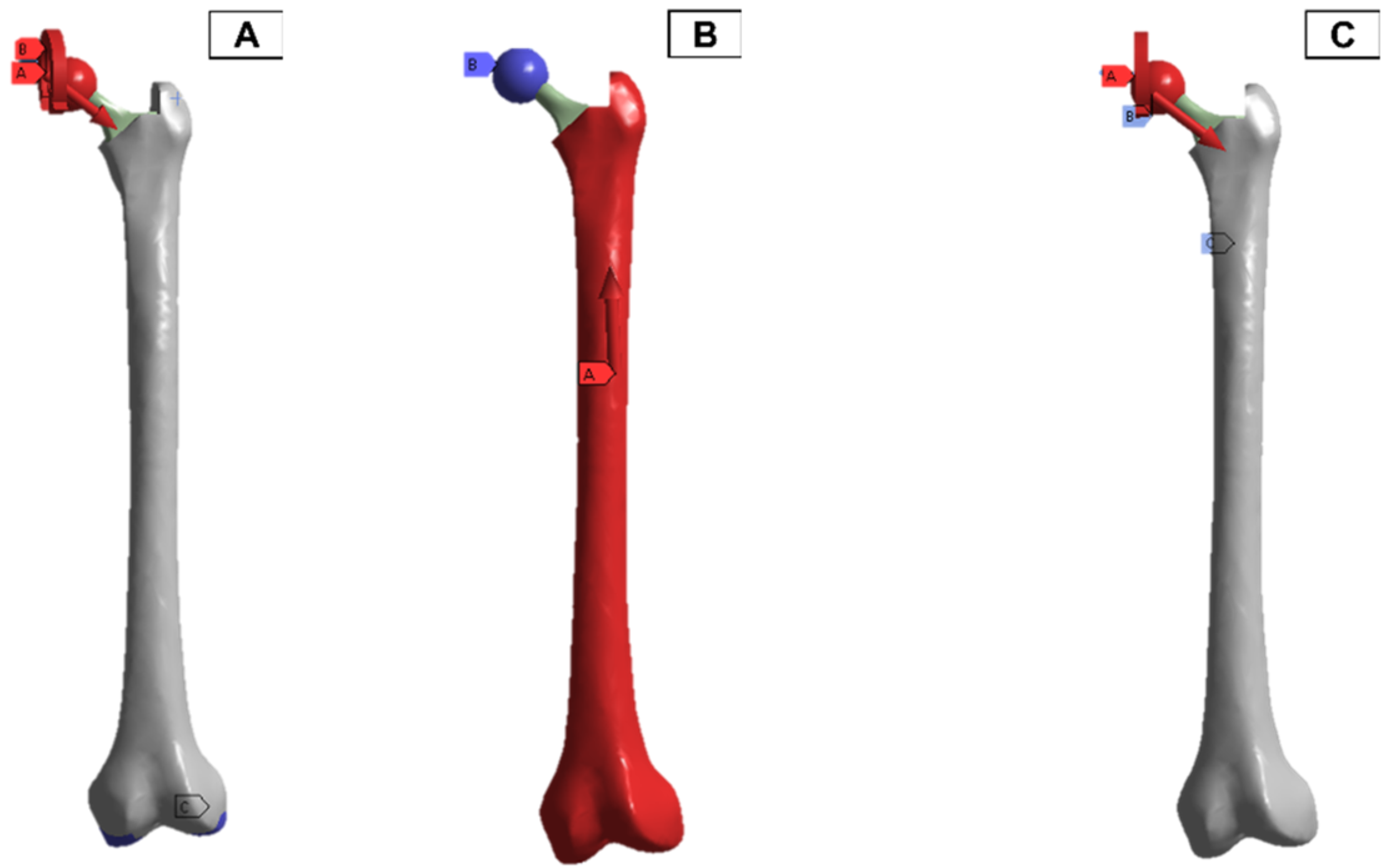 Biosensors 13 00079 g011 Biosensors 13 00079 g011