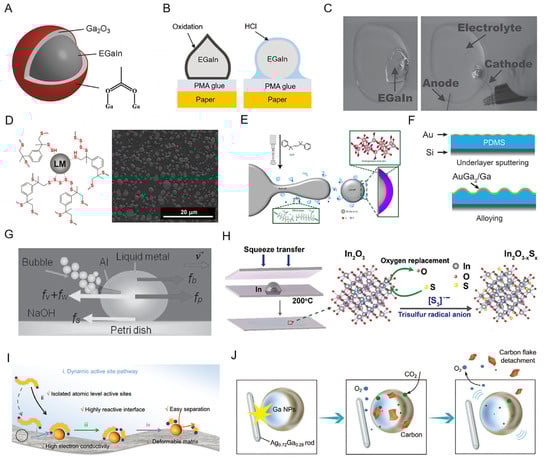 Biosensors 13 00084 g003