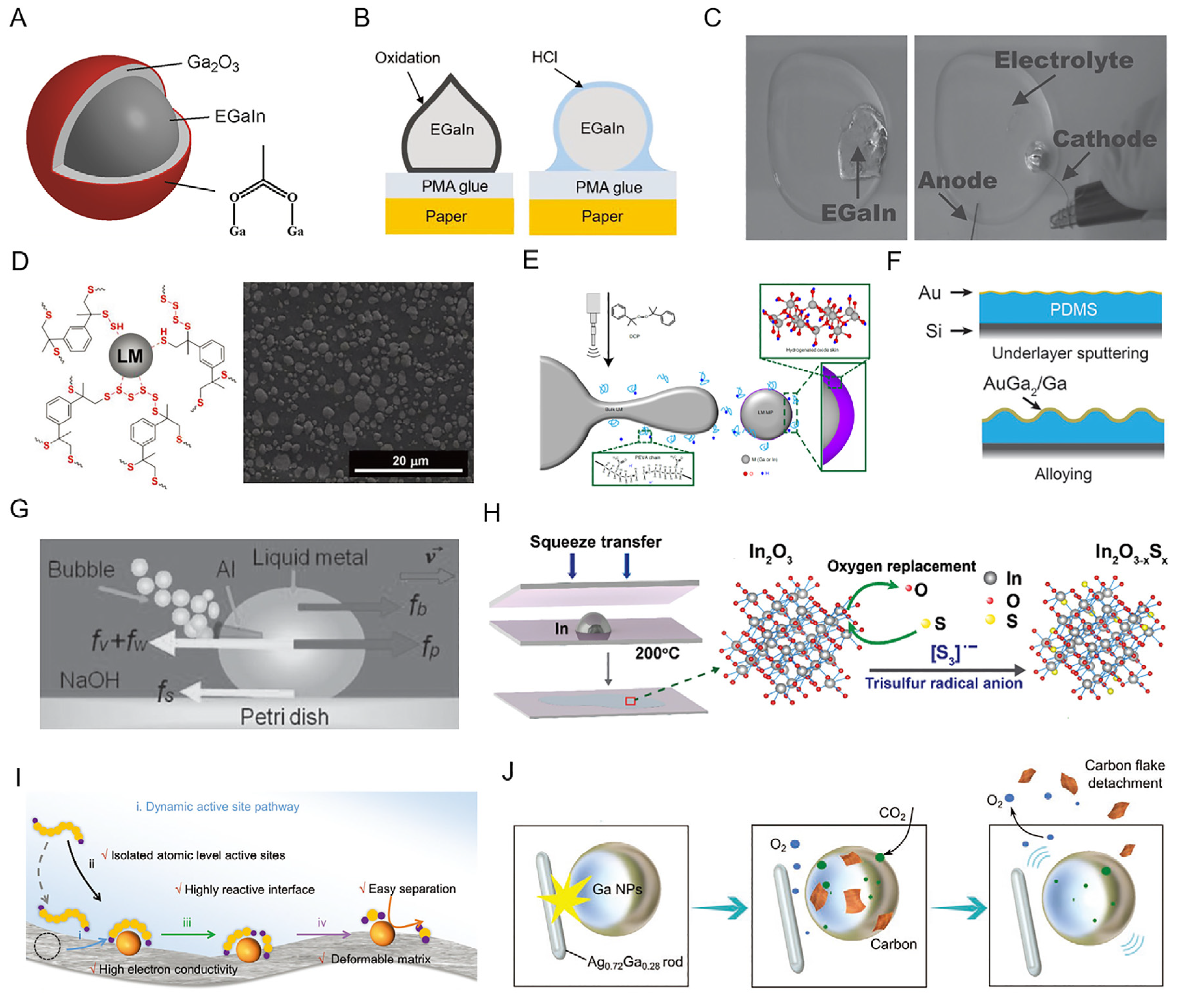 Biosensors 13 00084 g003