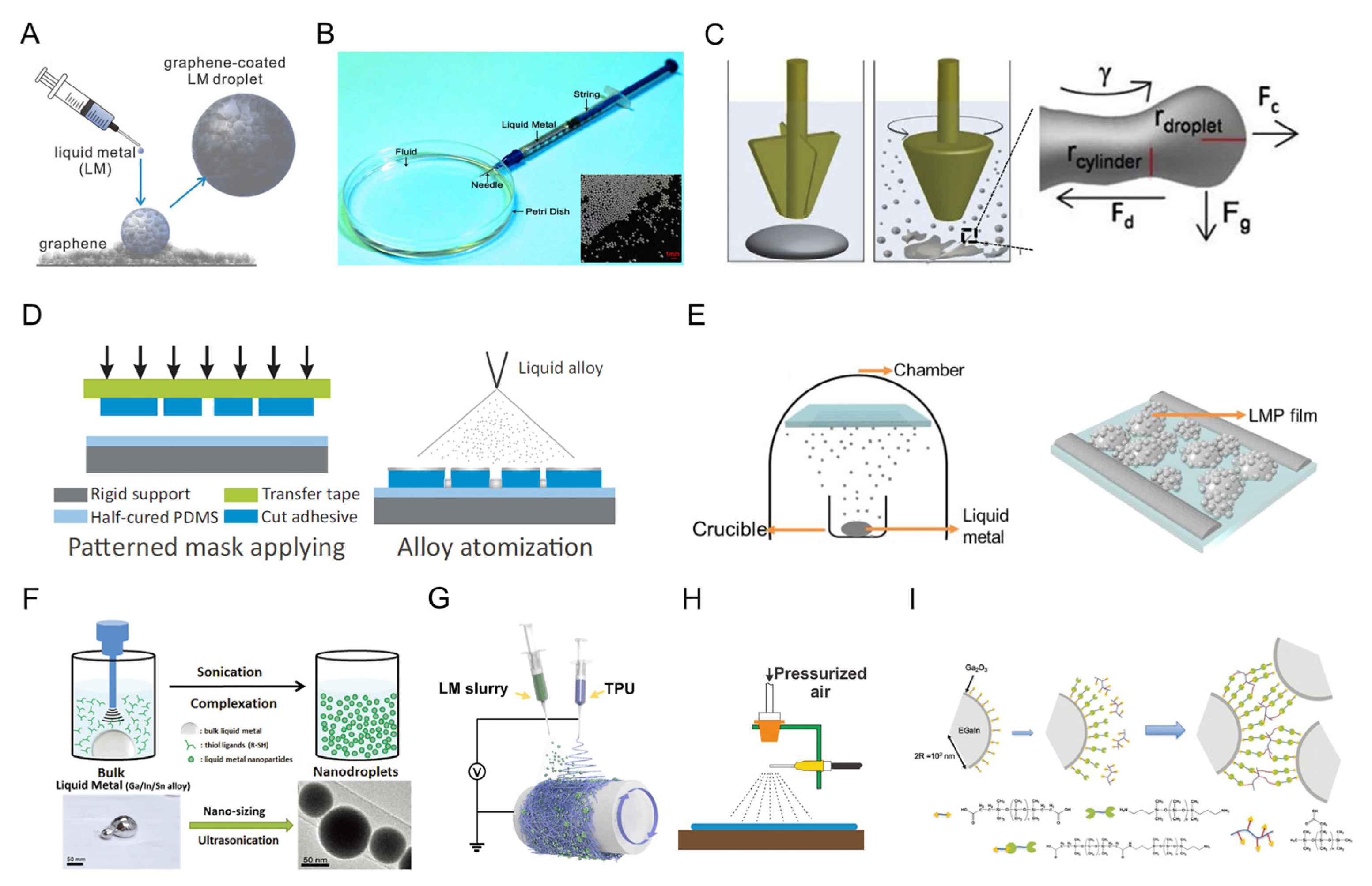 Biosensors 13 00084 g006
