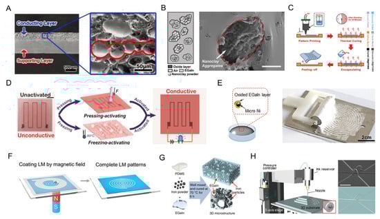 Biosensors 13 00084 g007