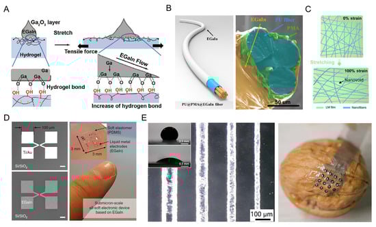 Biosensors 13 00084 g008