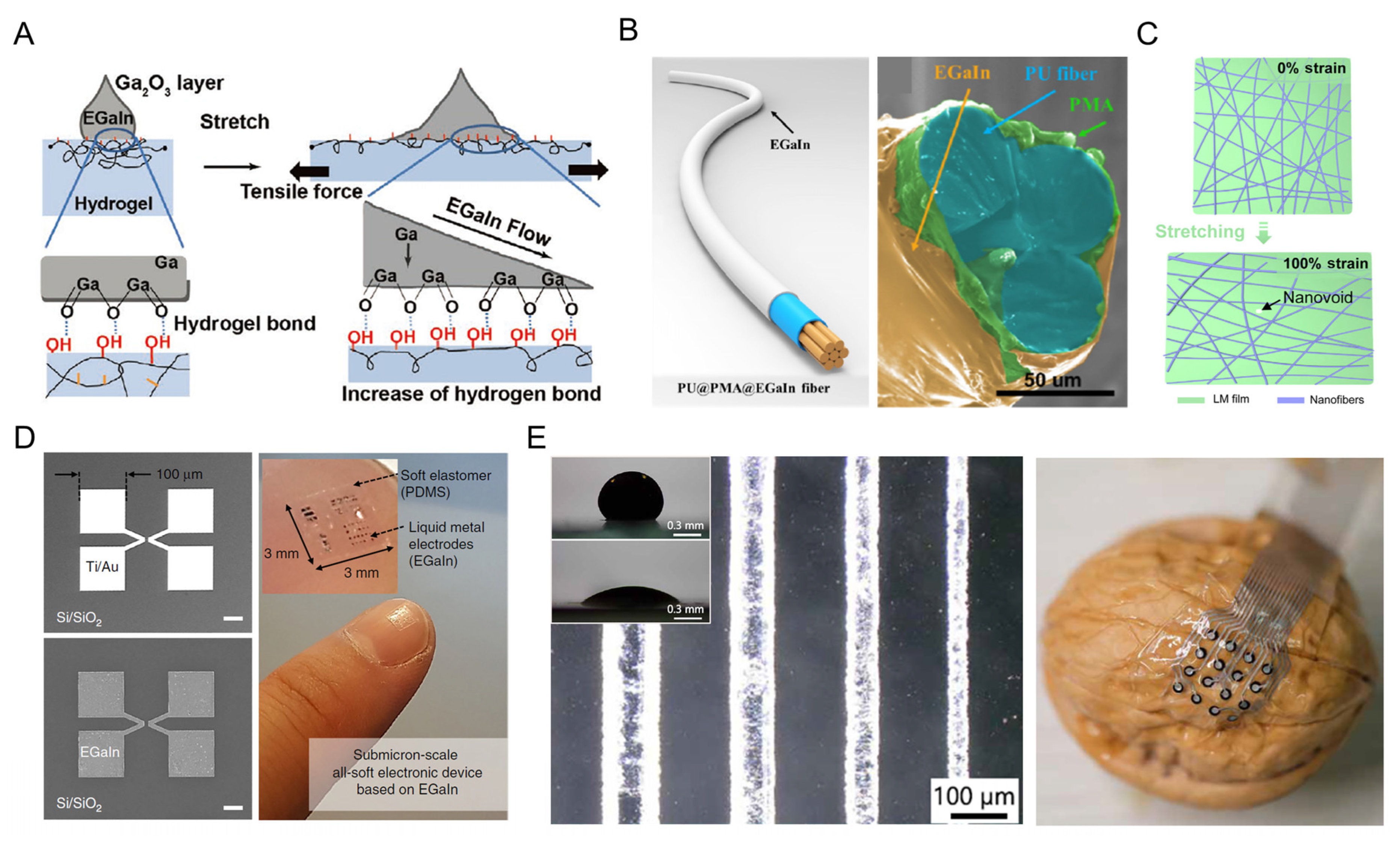Biosensors 13 00084 g008