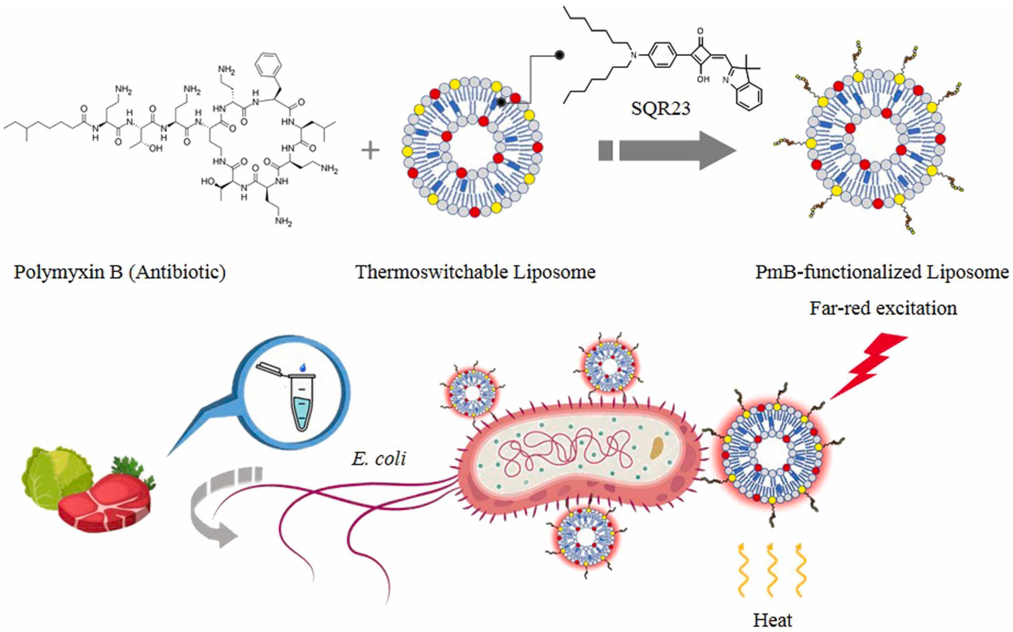 Biosensors 13 00085 g017